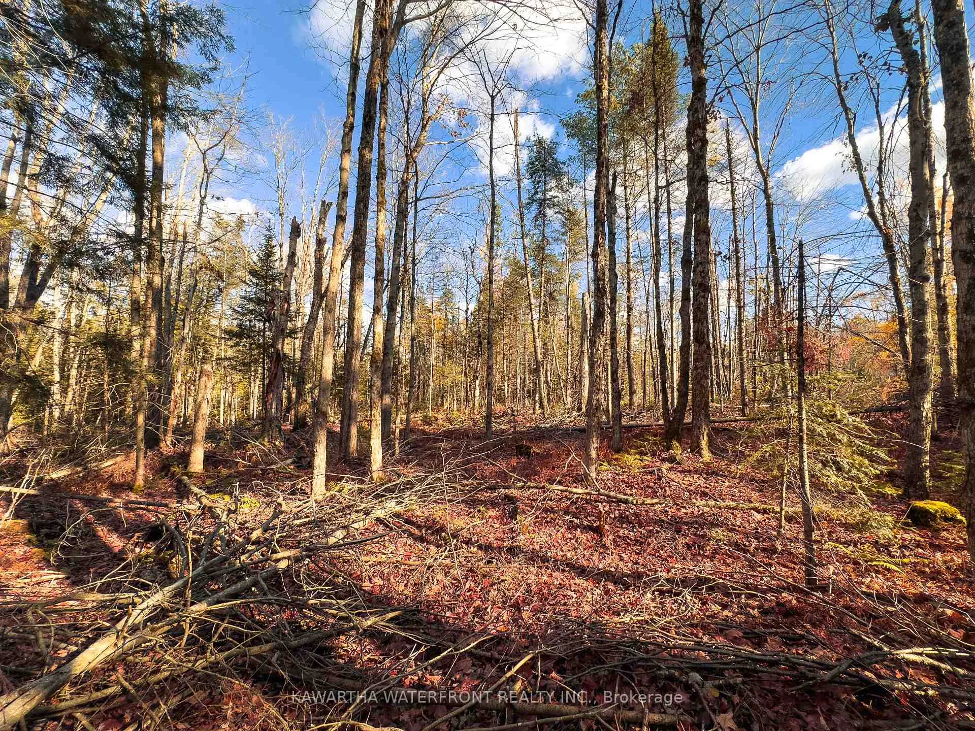 Photo 7 of Weismuller Lane, Bracebridge, Draper — HOMEH