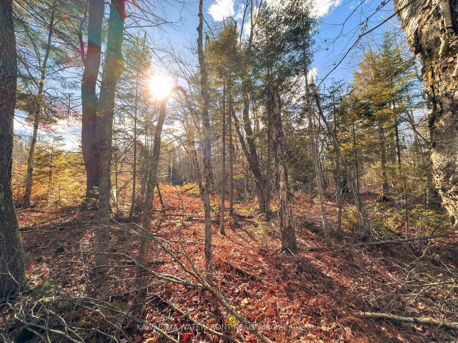 Photo 8 of Weismuller Lane, Bracebridge, Draper — HOMEH