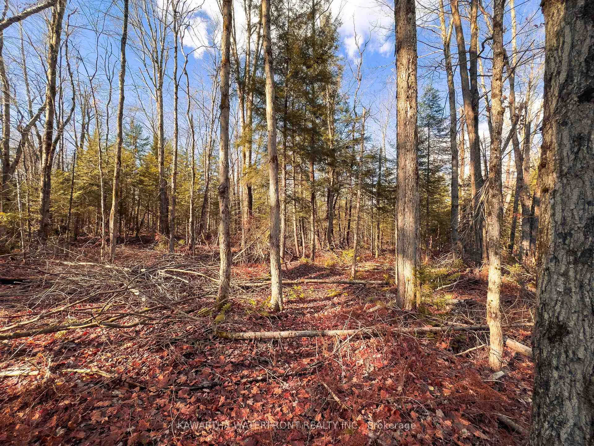 Photo 9 of Weismuller Lane, Bracebridge, Draper — HOMEH