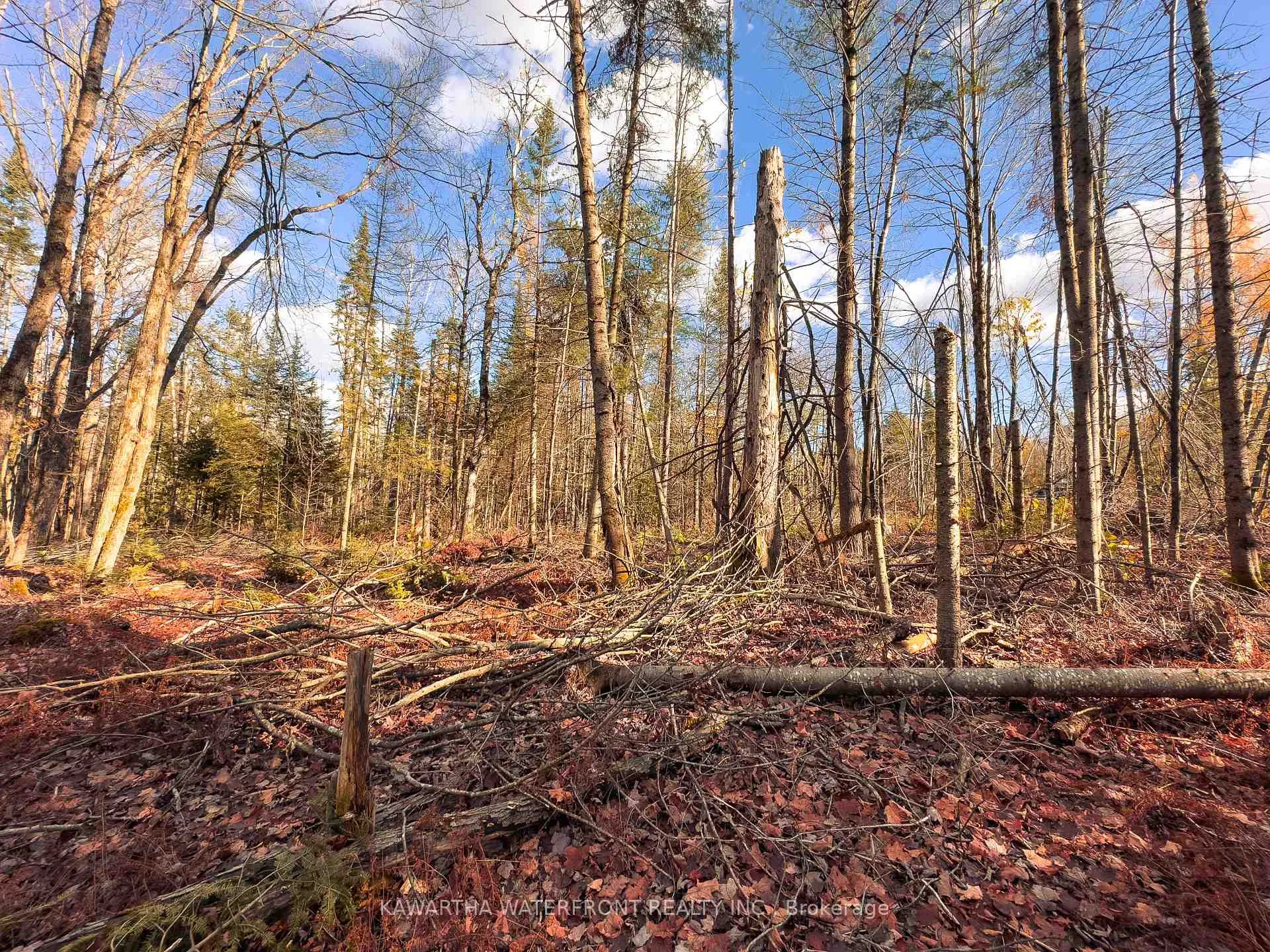 Photo 10 of Weismuller Lane, Bracebridge, Draper — HOMEH
