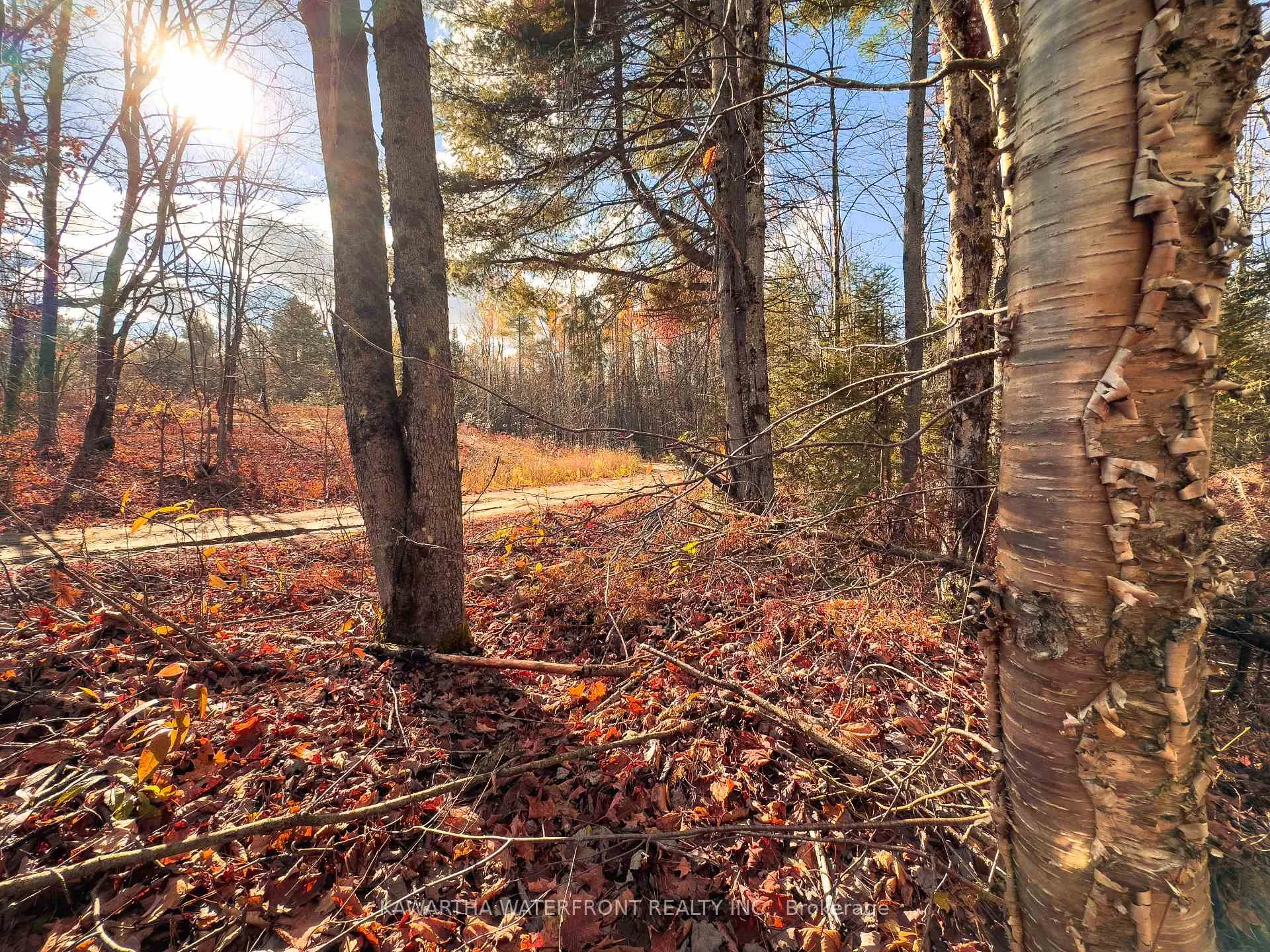 Photo 11 of Weismuller Lane, Bracebridge, Draper — HOMEH