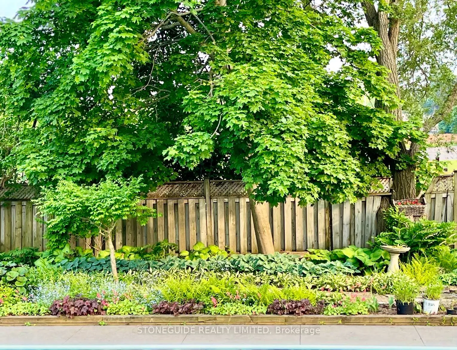 Photo 45 of 1 Cindy Street, Peterborough, Monaghan Ward 2 — HOMEH