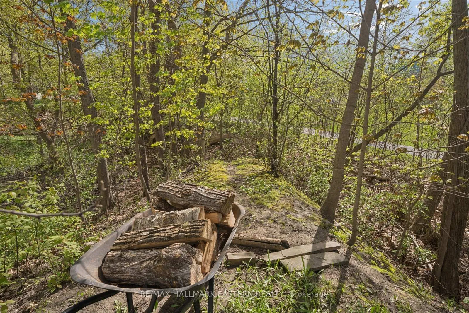 Photo 39 of 301 Engleburn Avenue, Peterborough, Ashburnham Ward 4 — HOMEH