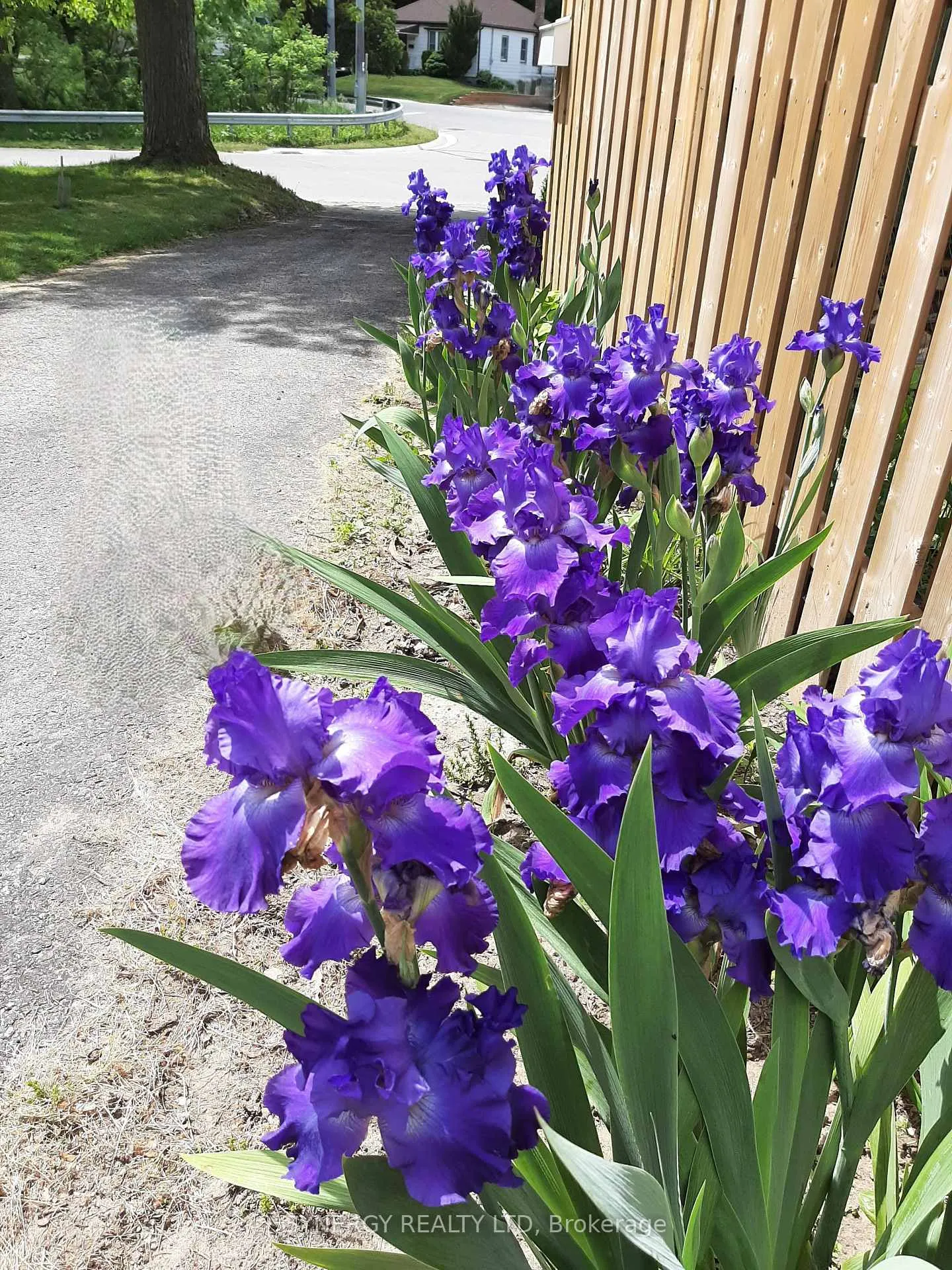 Photo 25 of 5 Hull Road, Strathroy-Caradoc, NE — HOMEH