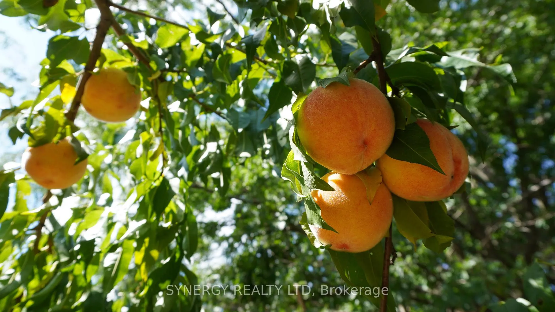 Photo 26 of 5 Hull Road, Strathroy-Caradoc, NE — HOMEH