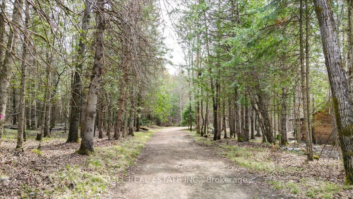 Photo 32 of 1404 Hybla Road, Hastings Highlands, Monteagle Ward — HOMEH