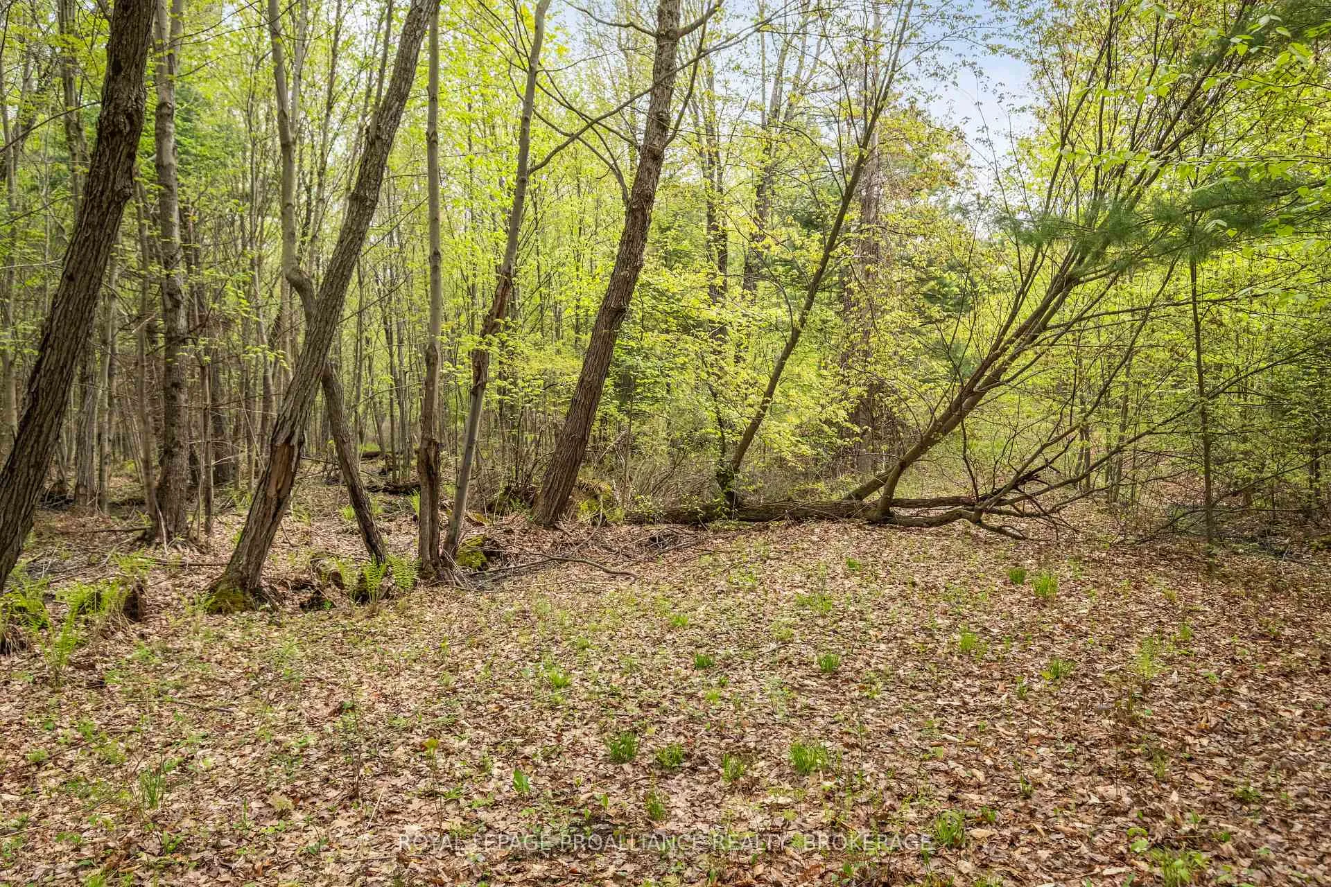 Photo 13 of LT 16 Warrington Lane, Frontenac, Frontenac Centre — HOMEH