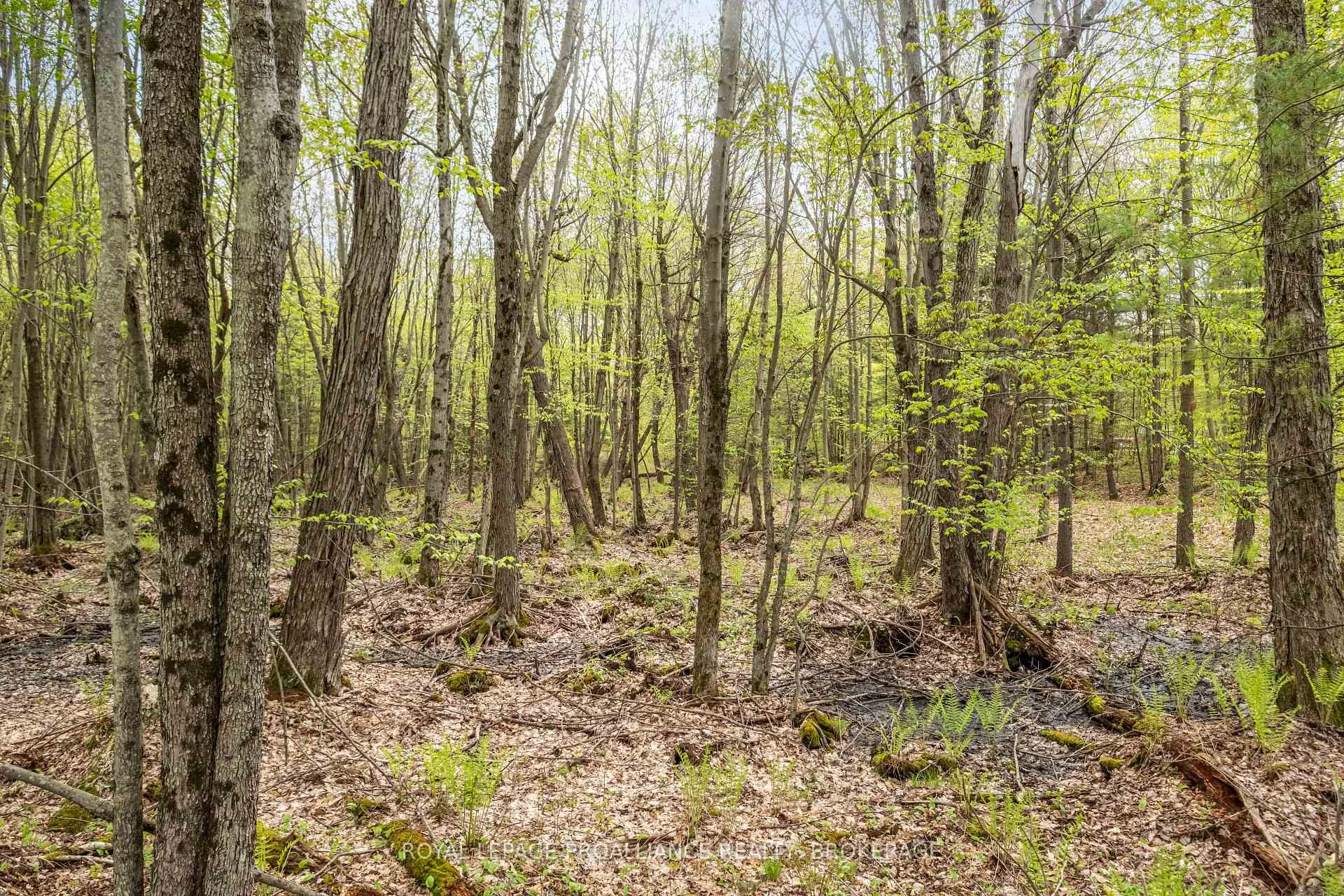 Photo 14 of LT 16 Warrington Lane, Frontenac, Frontenac Centre — HOMEH