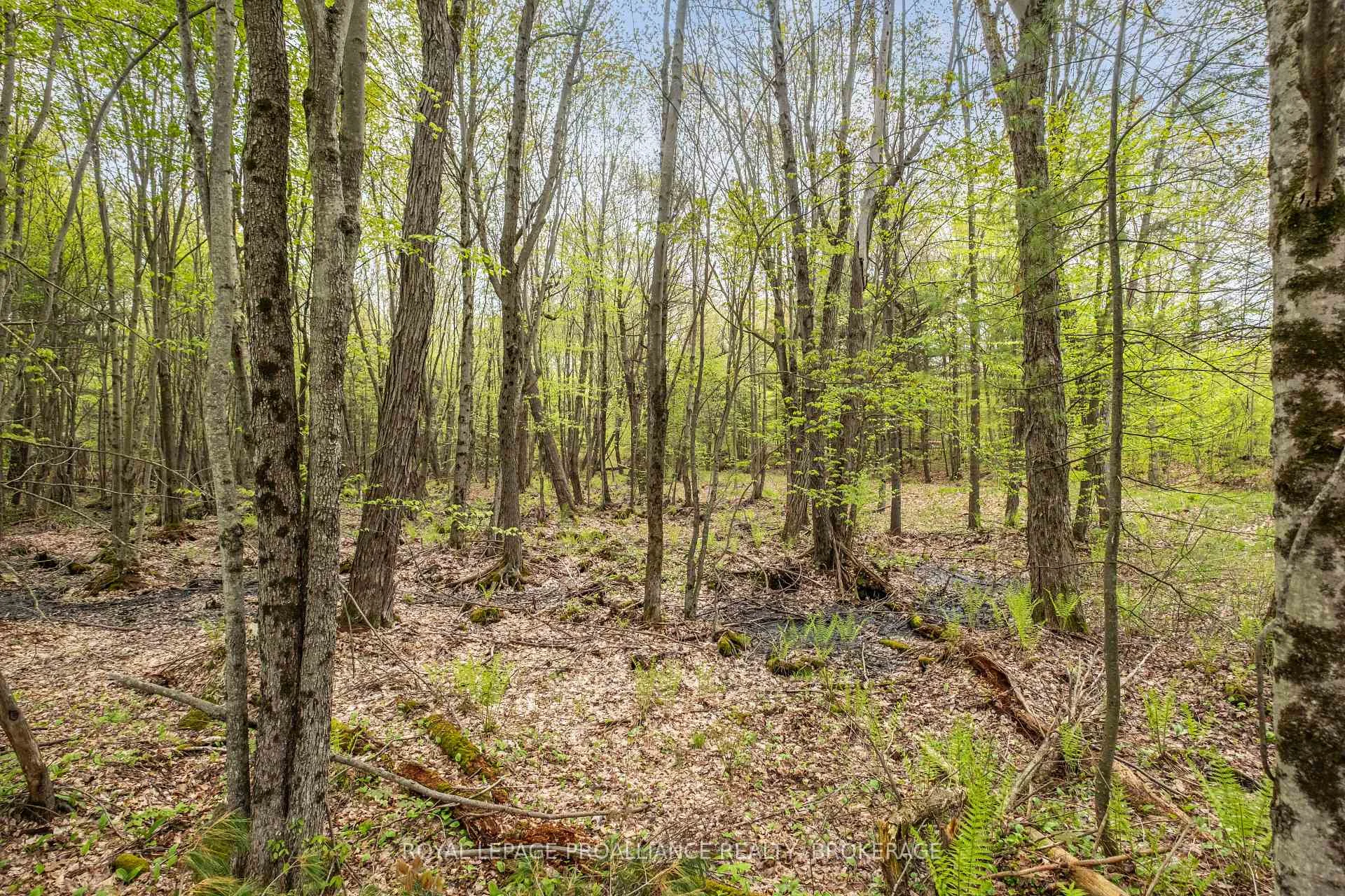 Photo 15 of LT 16 Warrington Lane, Frontenac, Frontenac Centre — HOMEH