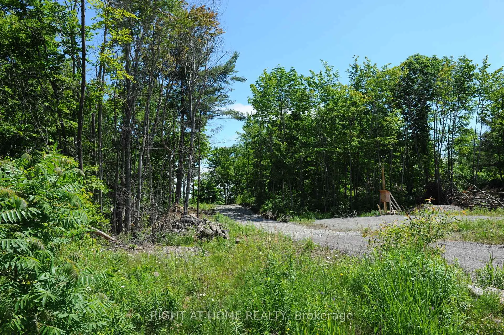 Photo 14 of 22 Hawkins Point, Georgian Bay — HOMEH