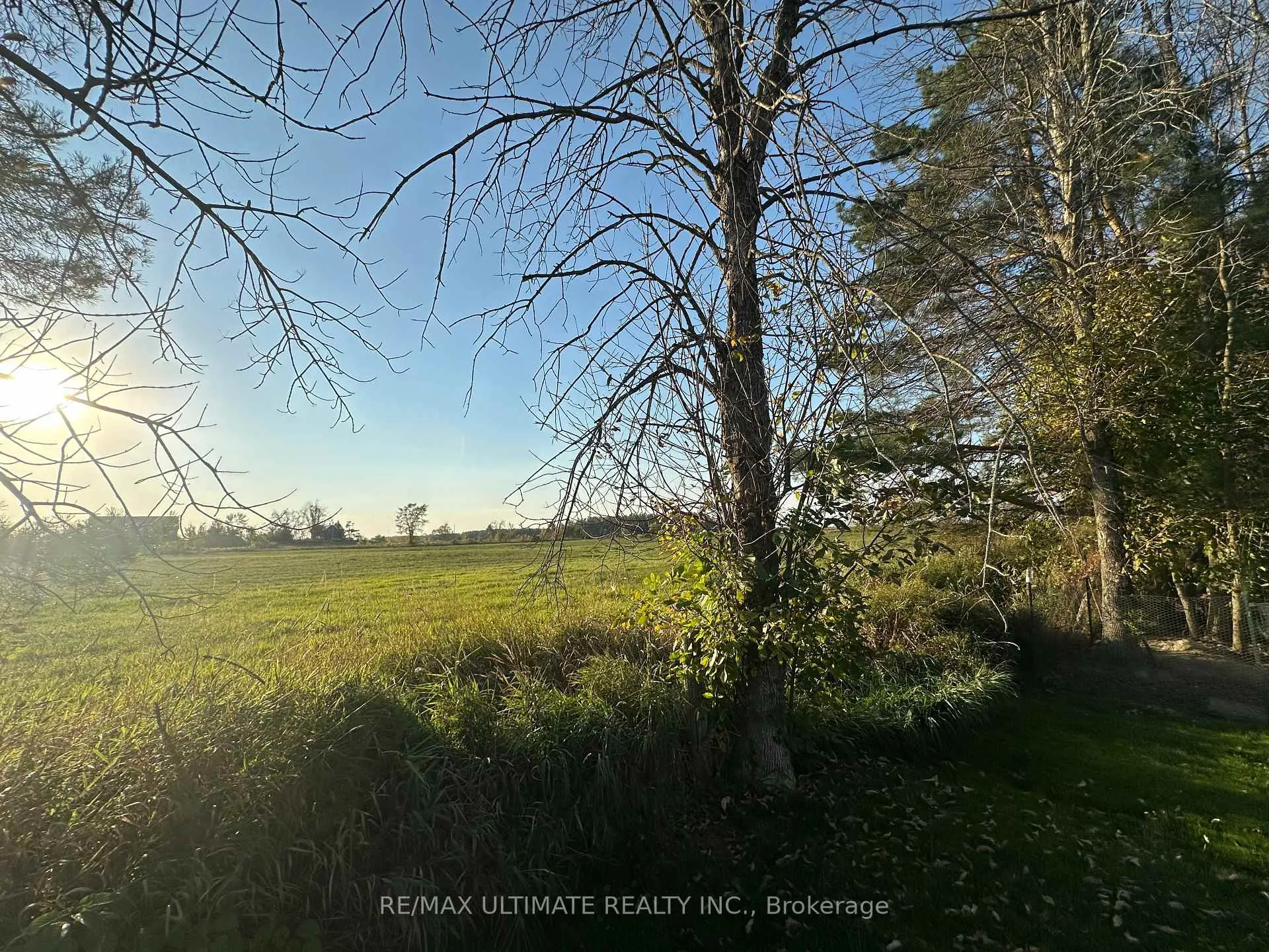 Photo 9 of 4122 Dalrymple Drive, Ramara, Rural Ramara — HOMEH