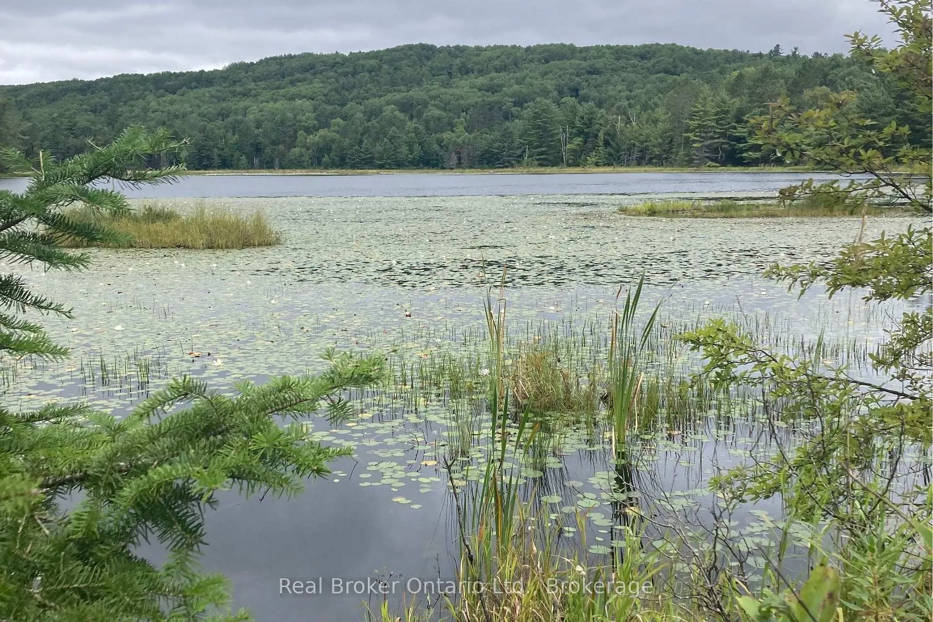 Photo of 8145 Highway 17 E