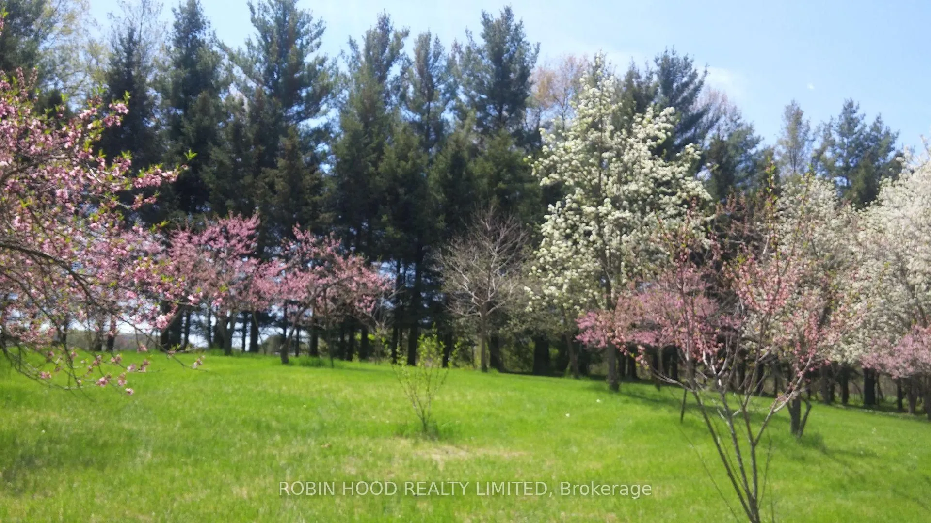 Photo 19 of 266132 Maple Dell Road, Norwich, Rural Norwich — HOMEH