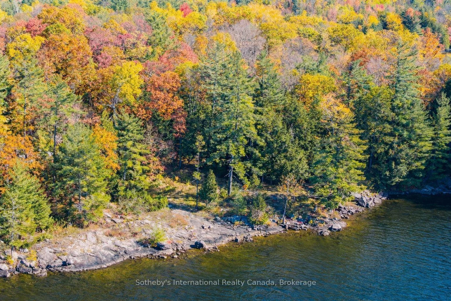 Photo 44 of 1-1076 Birch Point Road, Gravenhurst, Muskoka (S) — HOMEH
