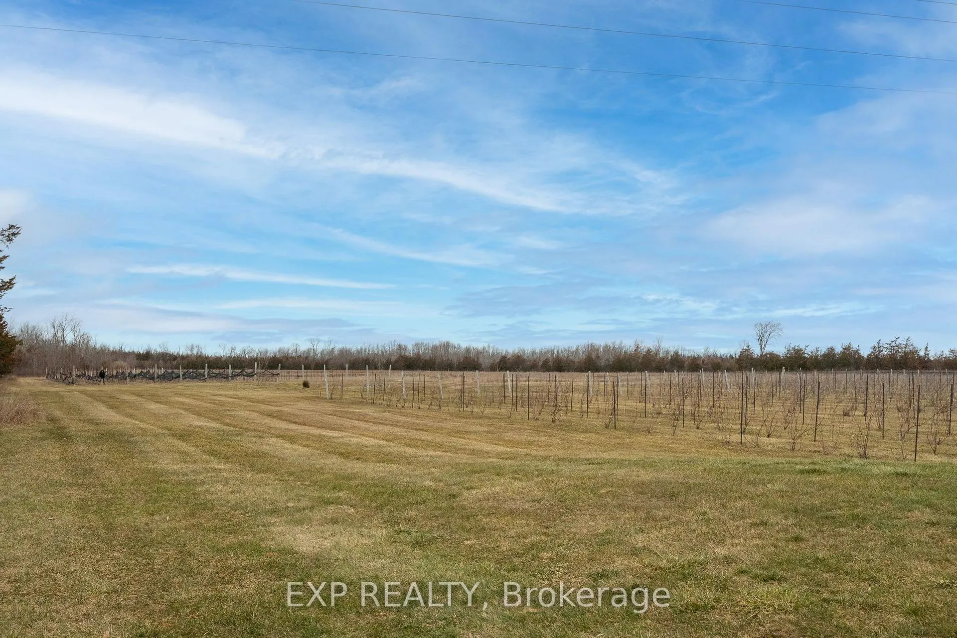 Photo 38 of 3589 County Road 8, Prince Edward County, North Marysburg Ward — HOMEH