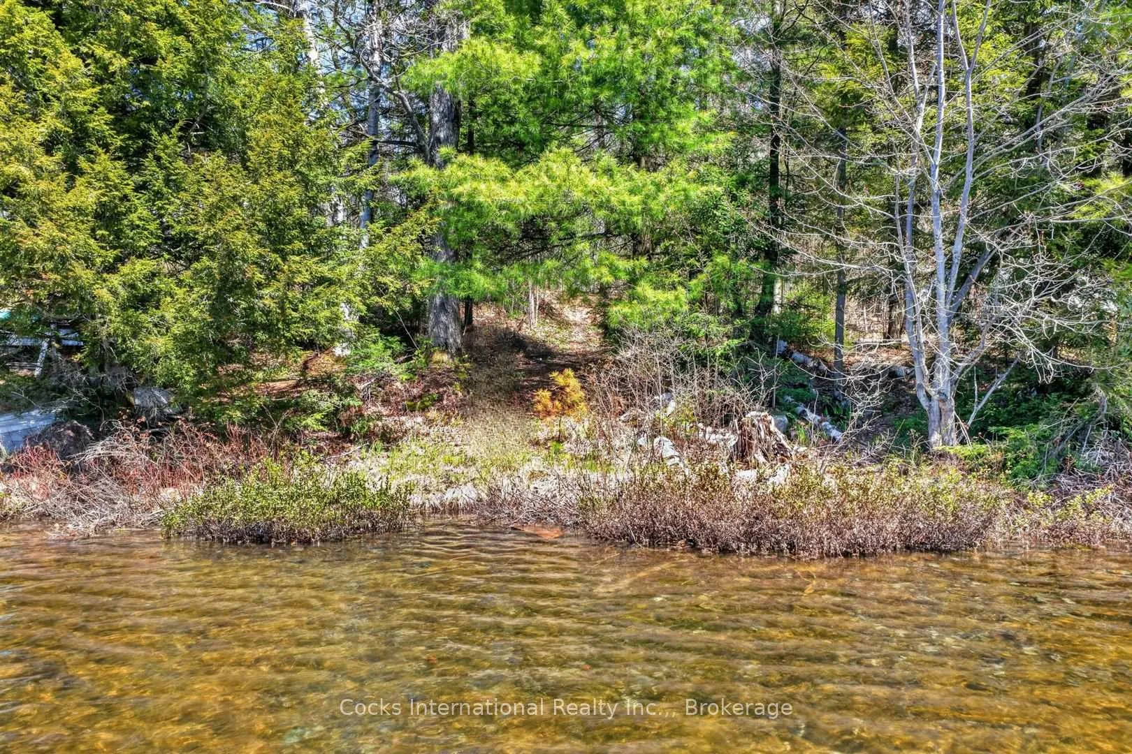 Photo 3 of 1165 Spring Lake Road, Bracebridge, Draper — HOMEH