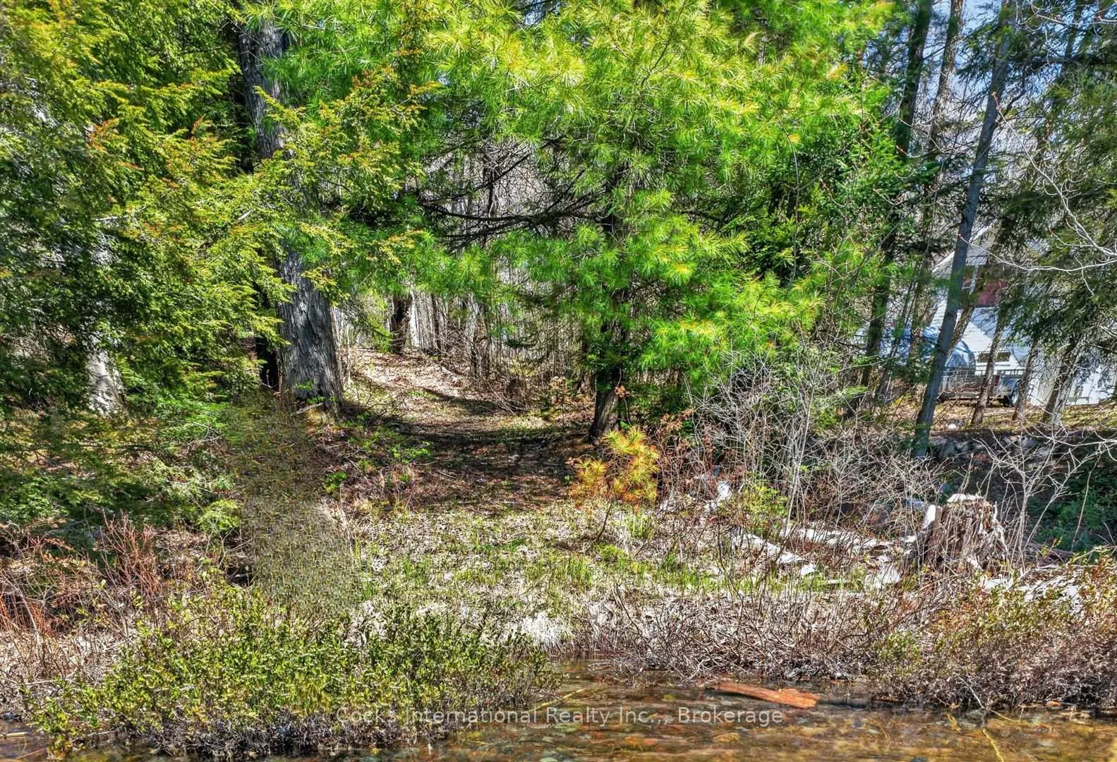 Photo 10 of 1165 Spring Lake Road, Bracebridge, Draper — HOMEH