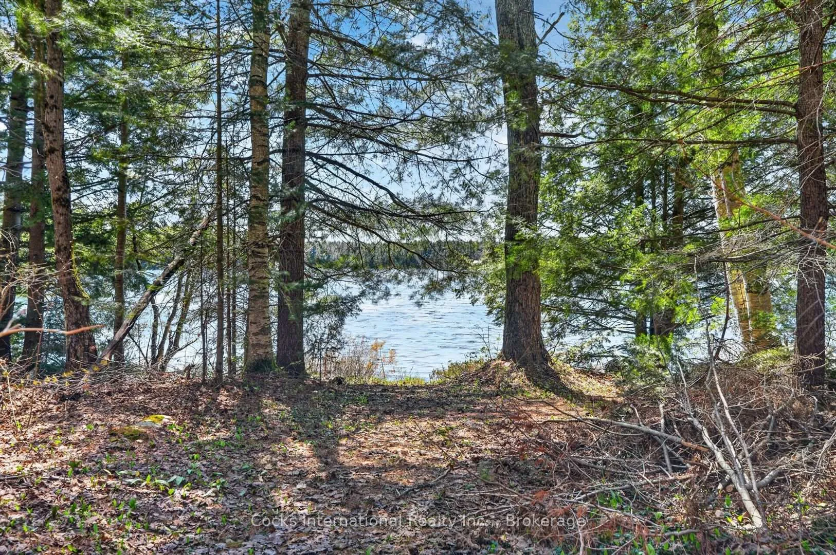 Photo 13 of 1165 Spring Lake Road, Bracebridge, Draper — HOMEH
