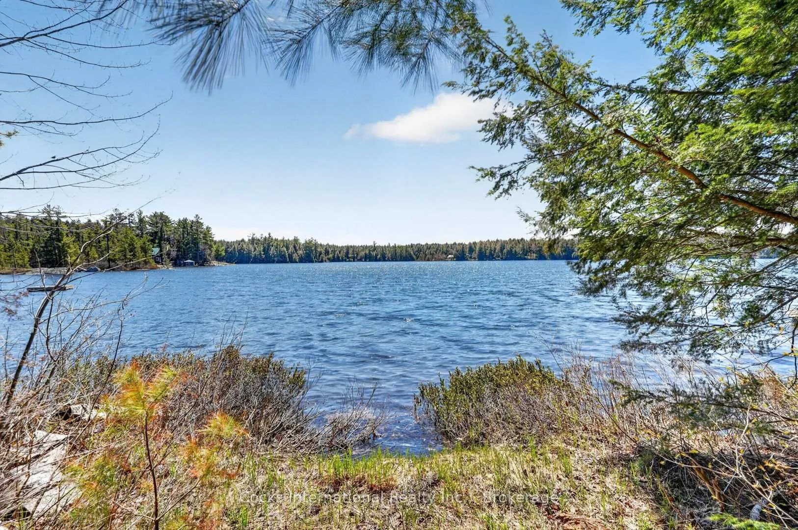 Photo 14 of 1165 Spring Lake Road, Bracebridge, Draper — HOMEH