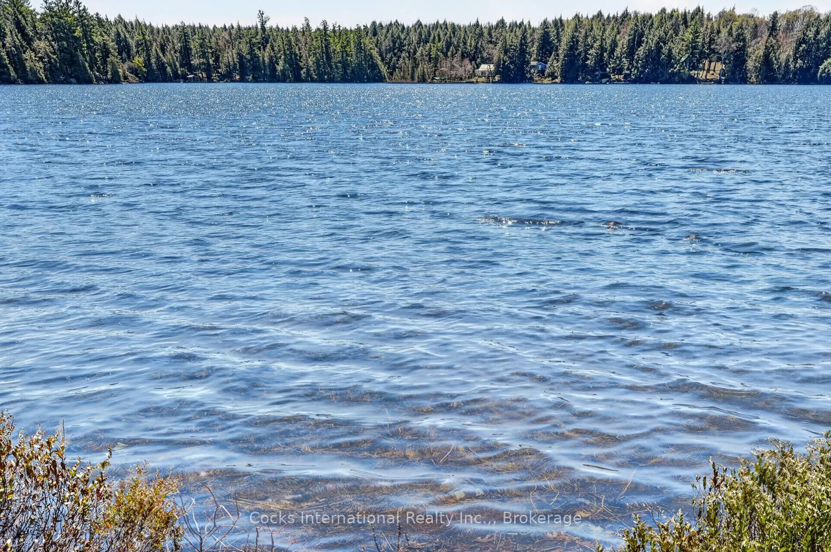 Photo 16 of 1165 Spring Lake Road, Bracebridge, Draper — HOMEH