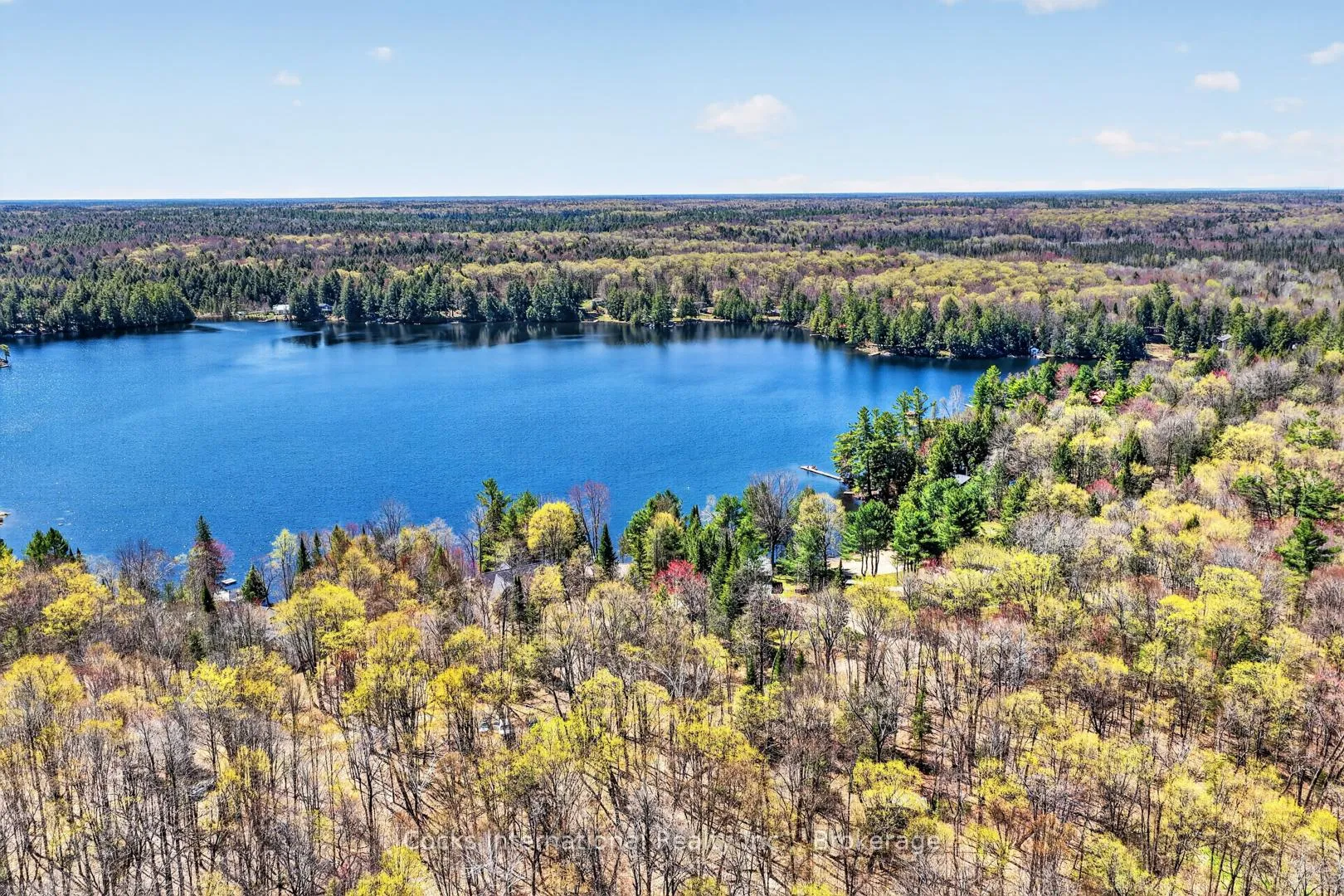 Photo 17 of 1165 Spring Lake Road, Bracebridge, Draper — HOMEH