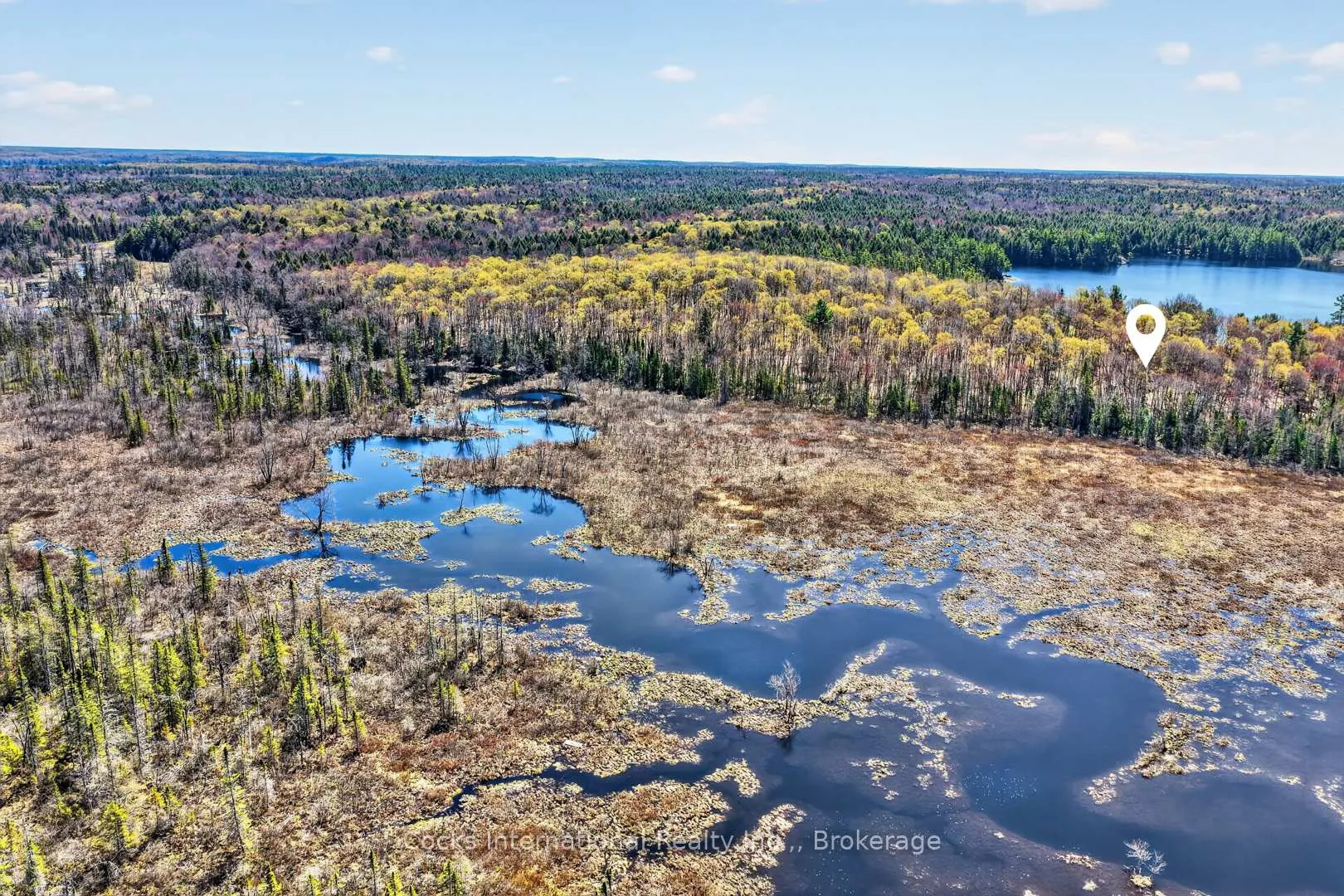Photo 19 of 1165 Spring Lake Road, Bracebridge, Draper — HOMEH