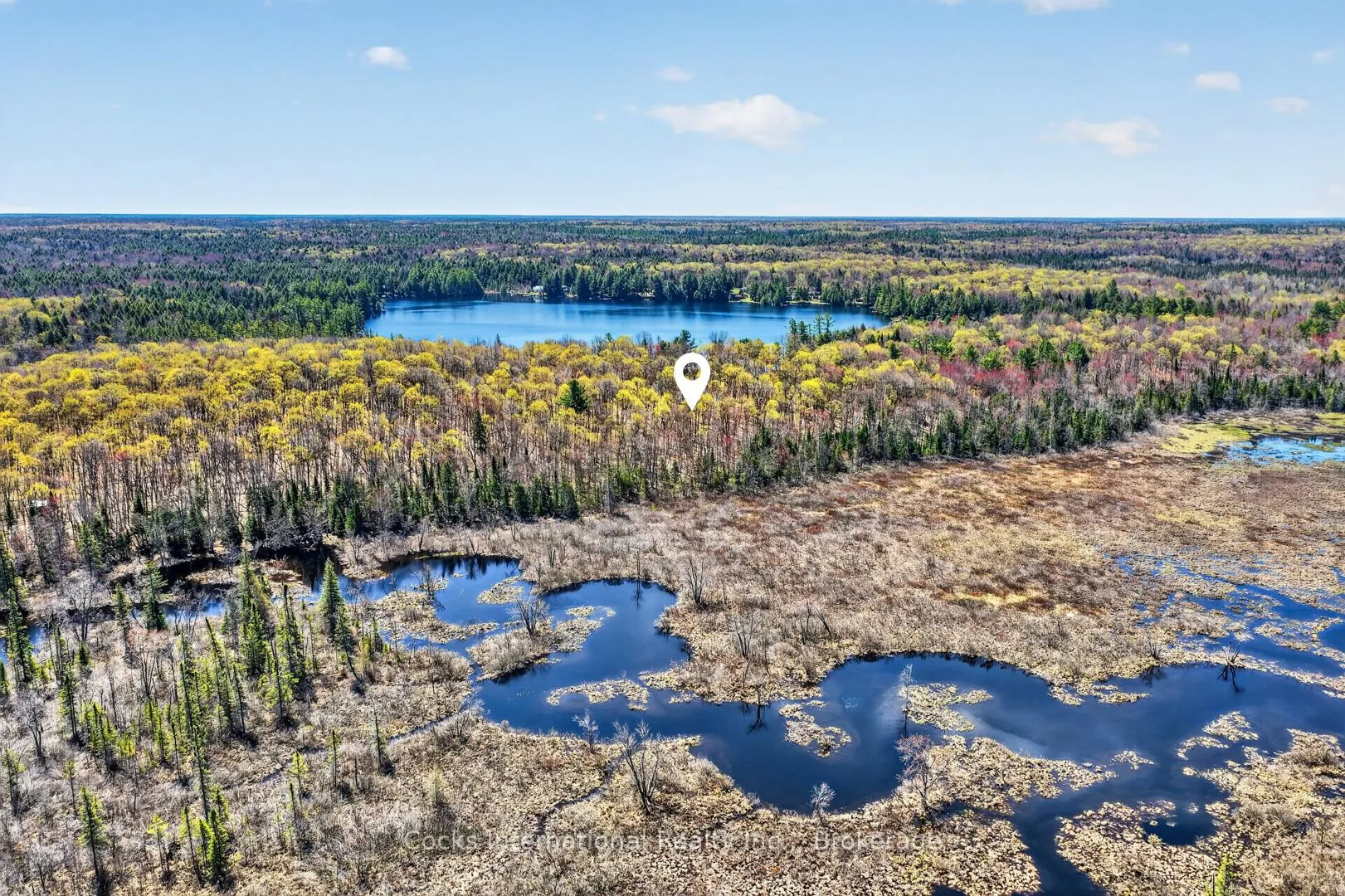 Photo 20 of 1165 Spring Lake Road, Bracebridge, Draper — HOMEH