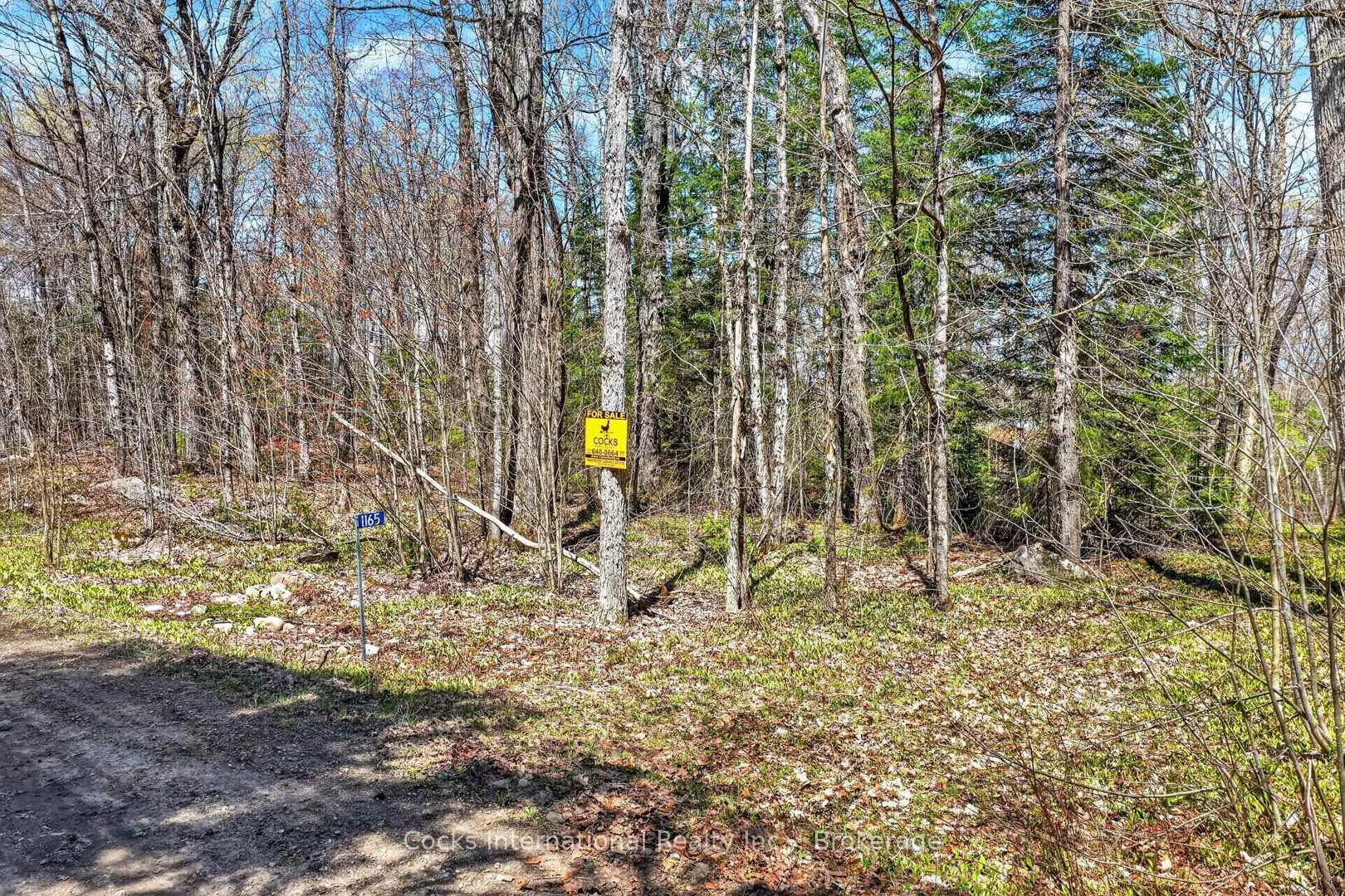 Photo 27 of 1165 Spring Lake Road, Bracebridge, Draper — HOMEH
