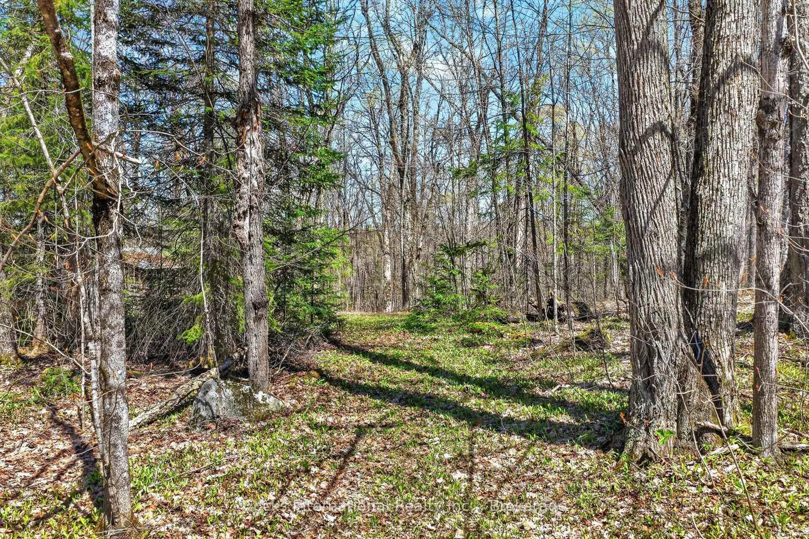 Photo 28 of 1165 Spring Lake Road, Bracebridge, Draper — HOMEH