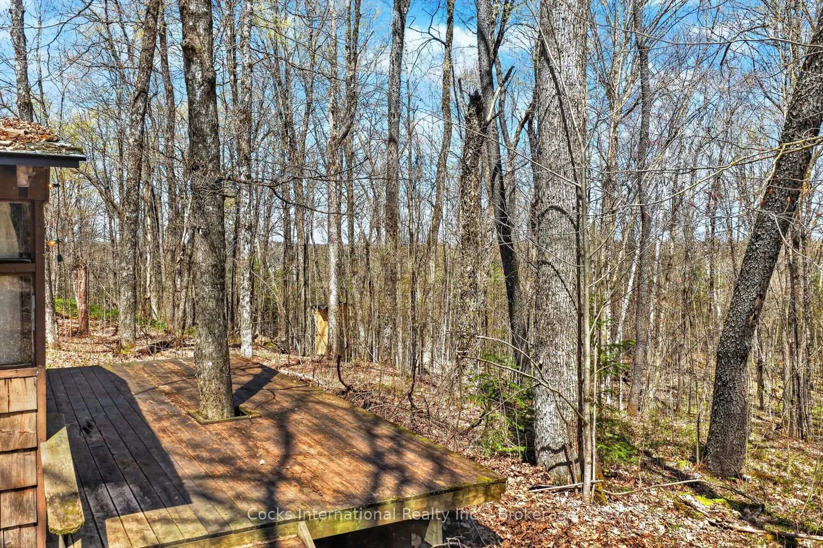 Photo 33 of 1165 Spring Lake Road, Bracebridge, Draper — HOMEH