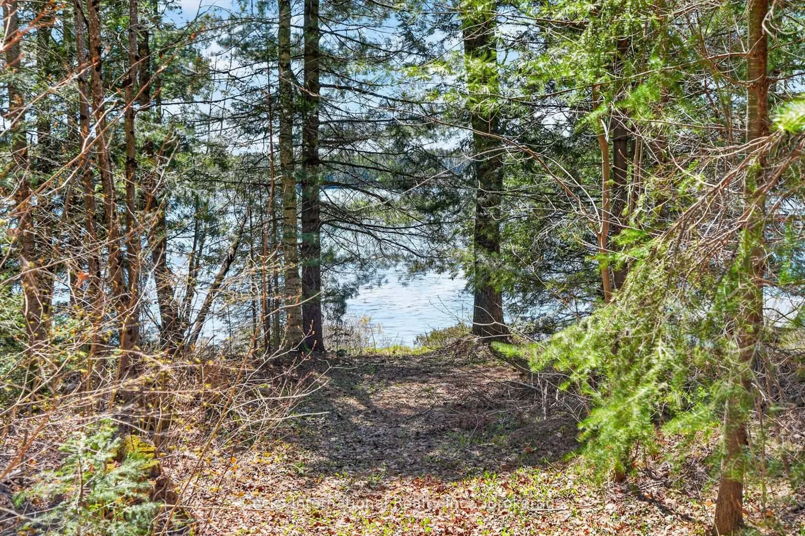 Photo 15 of 1165 Spring Lake Road, Bracebridge, Draper — HOMEH