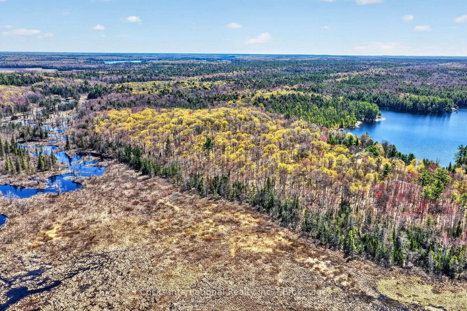 Photo 23 of 1165 Spring Lake Road, Bracebridge, Draper — HOMEH