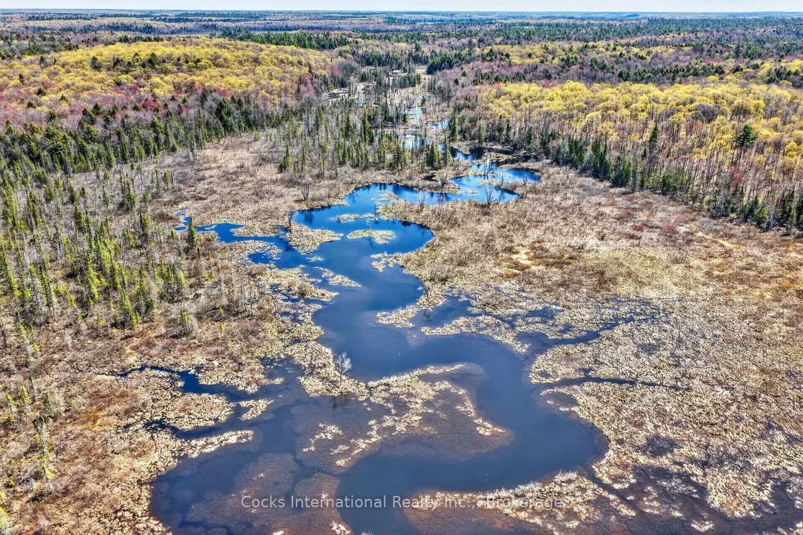 Photo 25 of 1165 Spring Lake Road, Bracebridge, Draper — HOMEH
