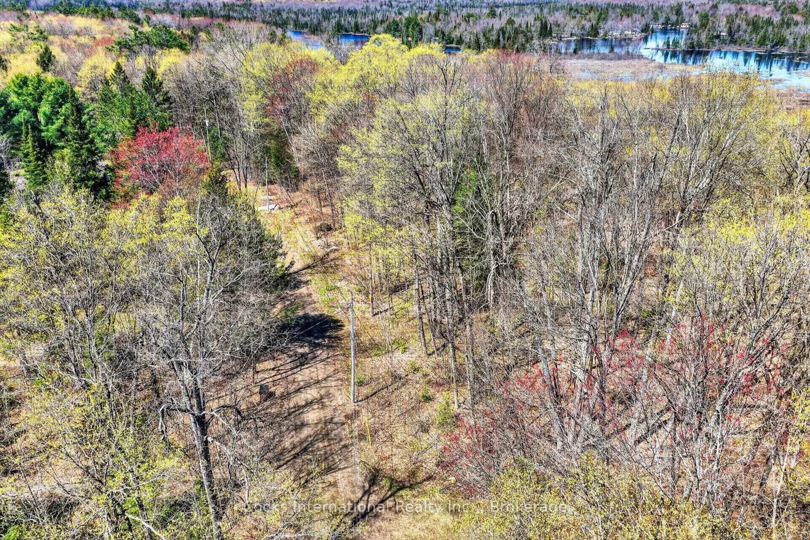 Photo 29 of 1165 Spring Lake Road, Bracebridge, Draper — HOMEH
