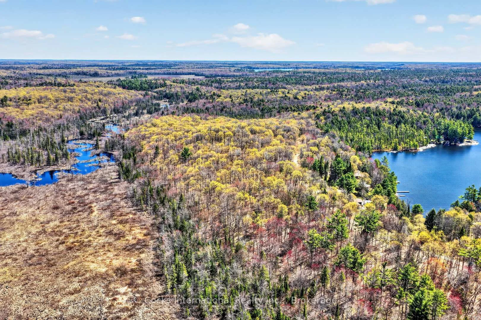 Photo 49 of 1165 Spring Lake Road, Bracebridge, Draper — HOMEH