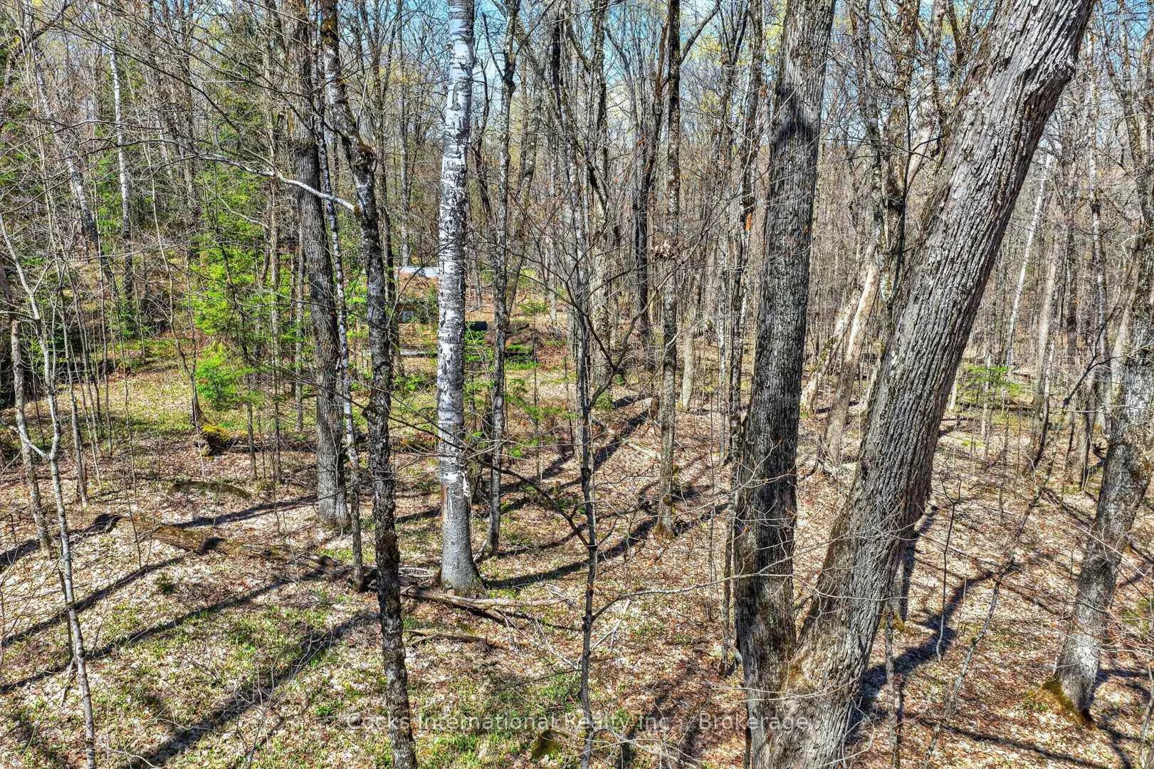 Photo 50 of 1165 Spring Lake Road, Bracebridge, Draper — HOMEH