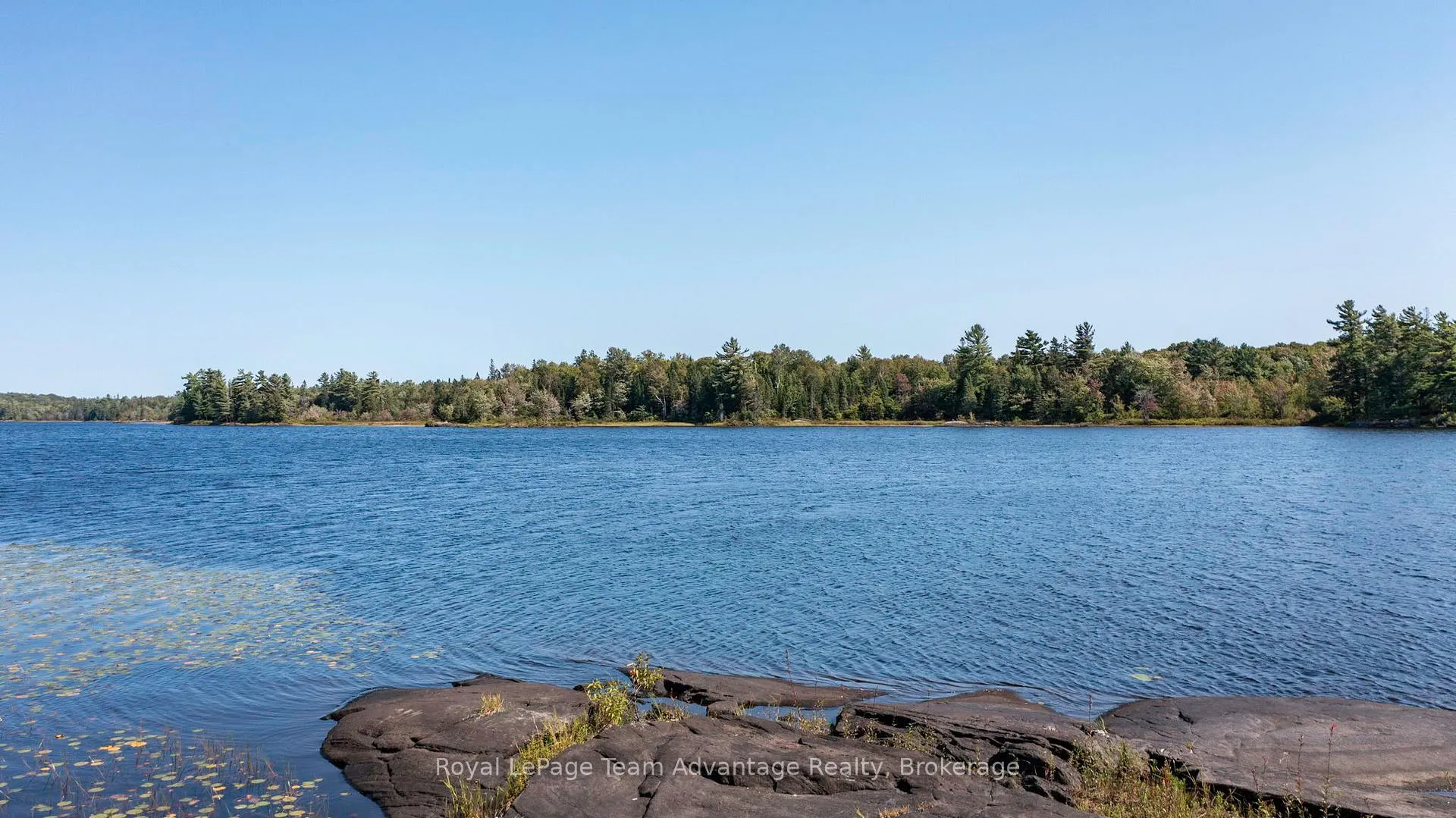 Photo 25 of 46 Taylor Lake Road, Whitestone — HOMEH