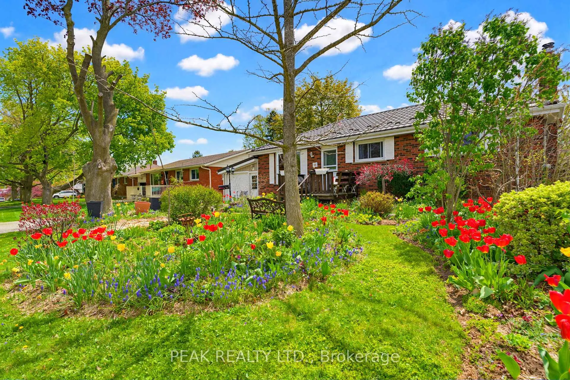 Photo 3 of 12 Mccammon Street, Brant, Paris — HOMEH