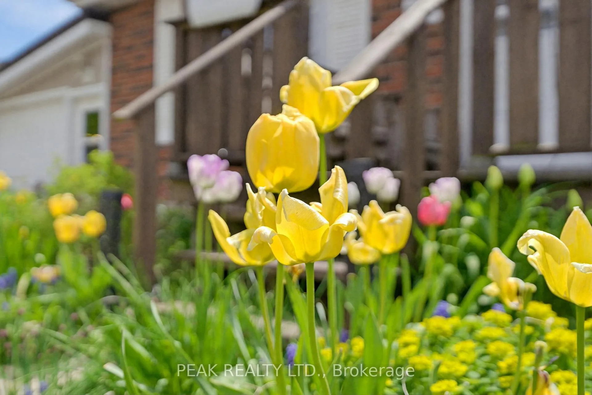 Photo 5 of 12 Mccammon Street, Brant, Paris — HOMEH