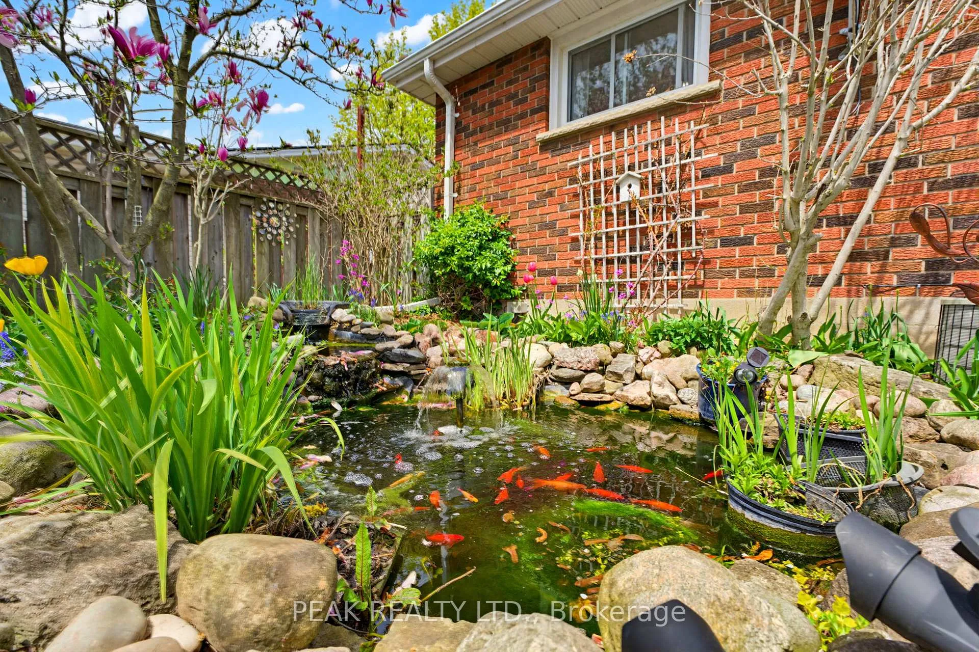 Photo 33 of 12 Mccammon Street, Brant, Paris — HOMEH