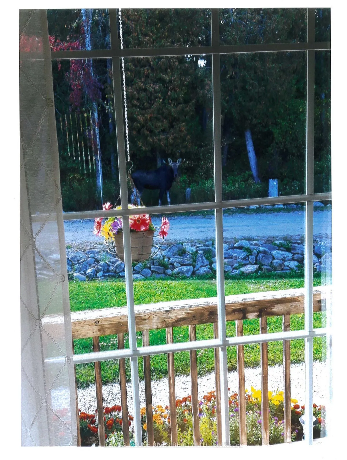 Photo 46 of 253 Hass Road, Carlow/Mayo, Carlow Ward — HOMEH