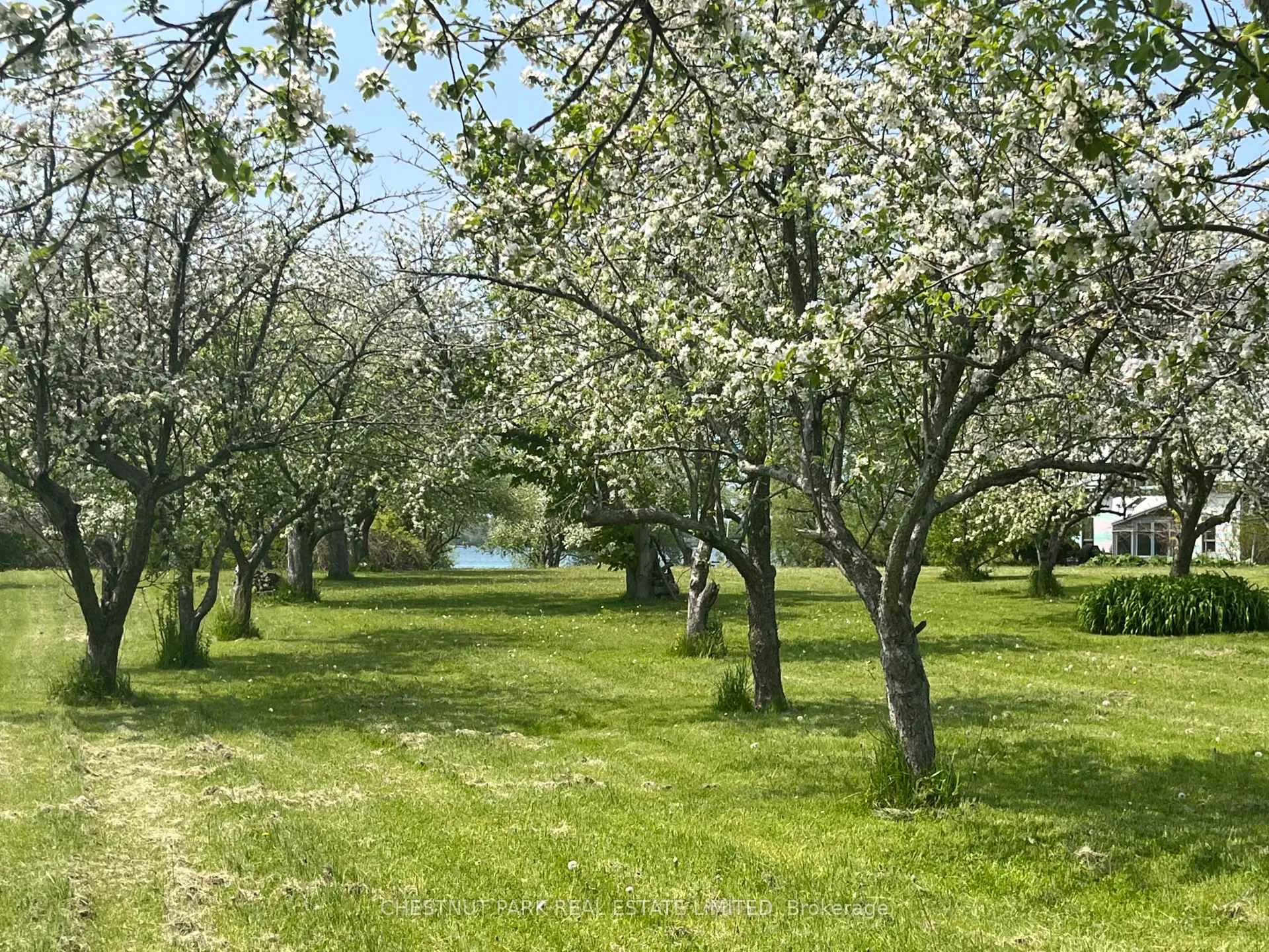 Photo 46 of 3071 County Road 13, Prince Edward County, South Marysburg Ward — HOMEH