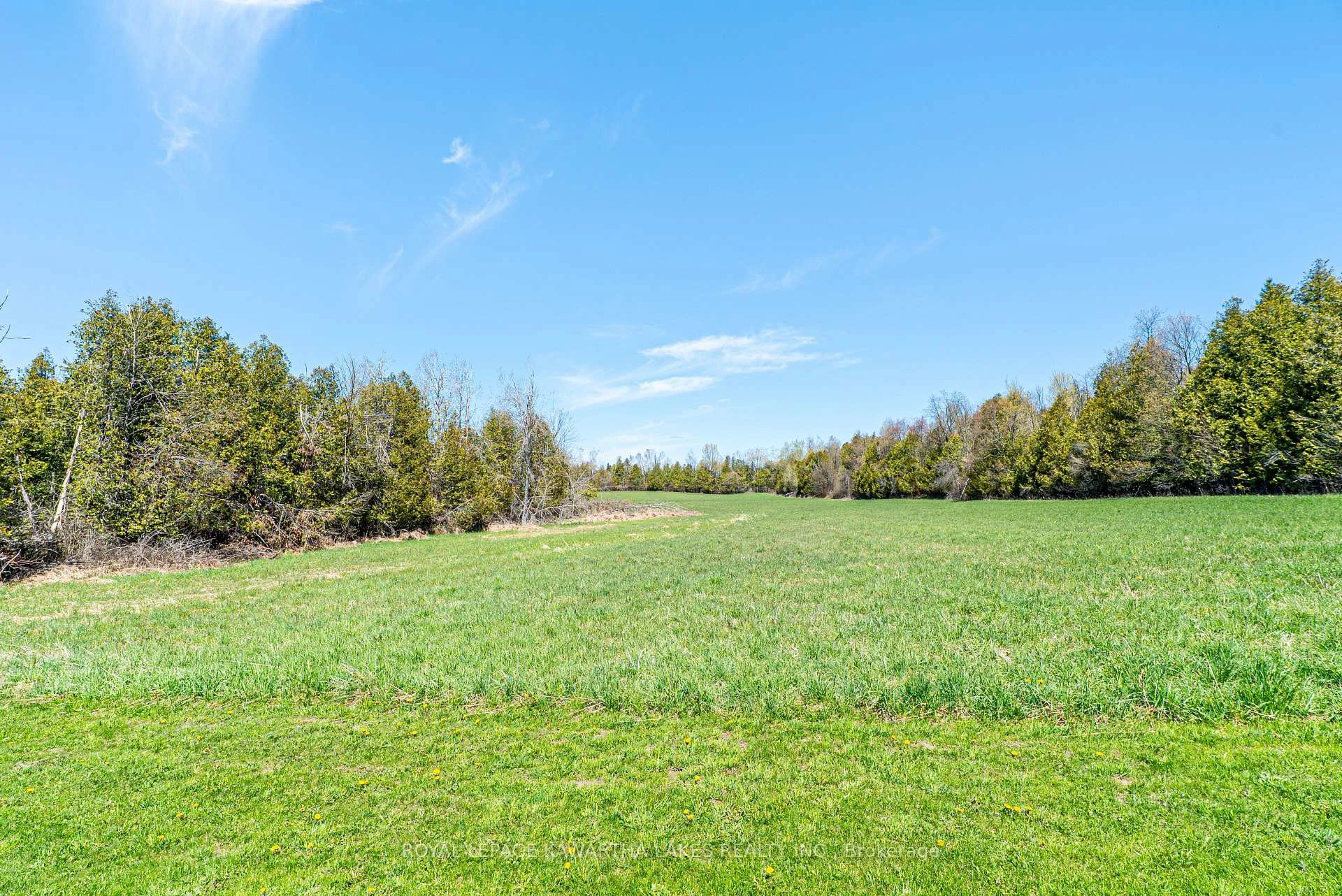 Photo 49 of 75 Prescott Road, Kawartha Lakes, Bobcaygeon — HOMEH