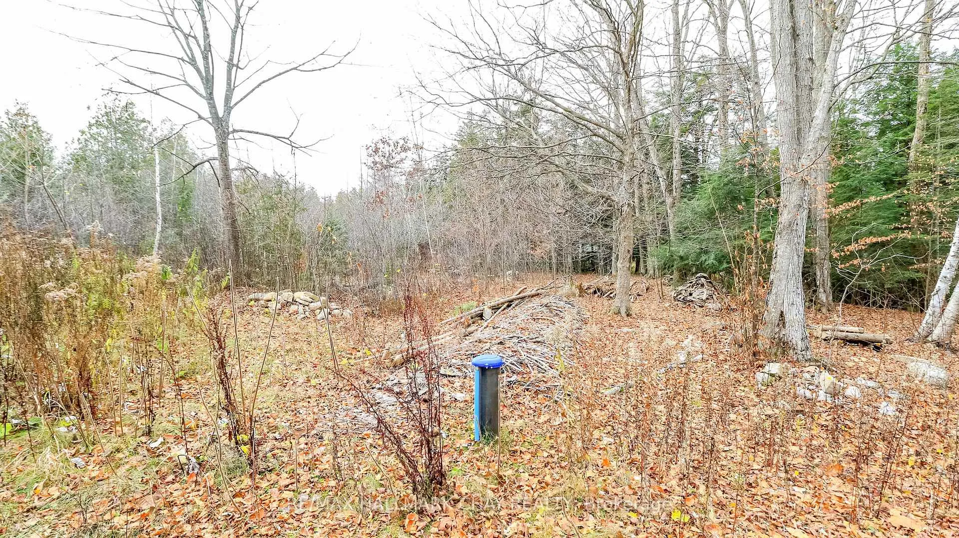 Photo 22 of 2576 Champlain Road, Tiny, Rural Tiny — HOMEH