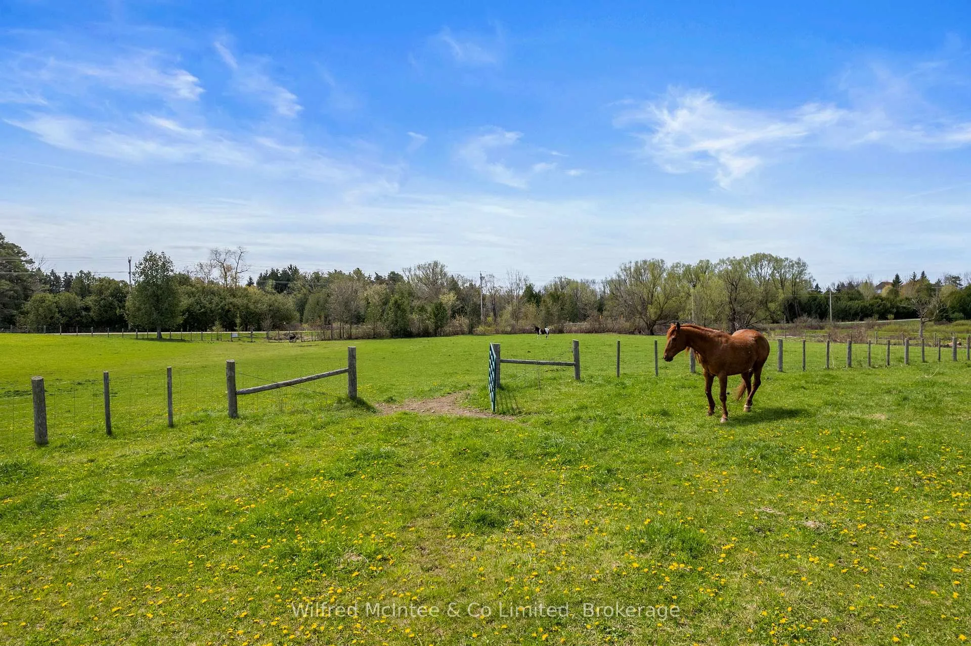 Photo 40 of 341727 Concession Rd 2 NDR, West Grey — HOMEH