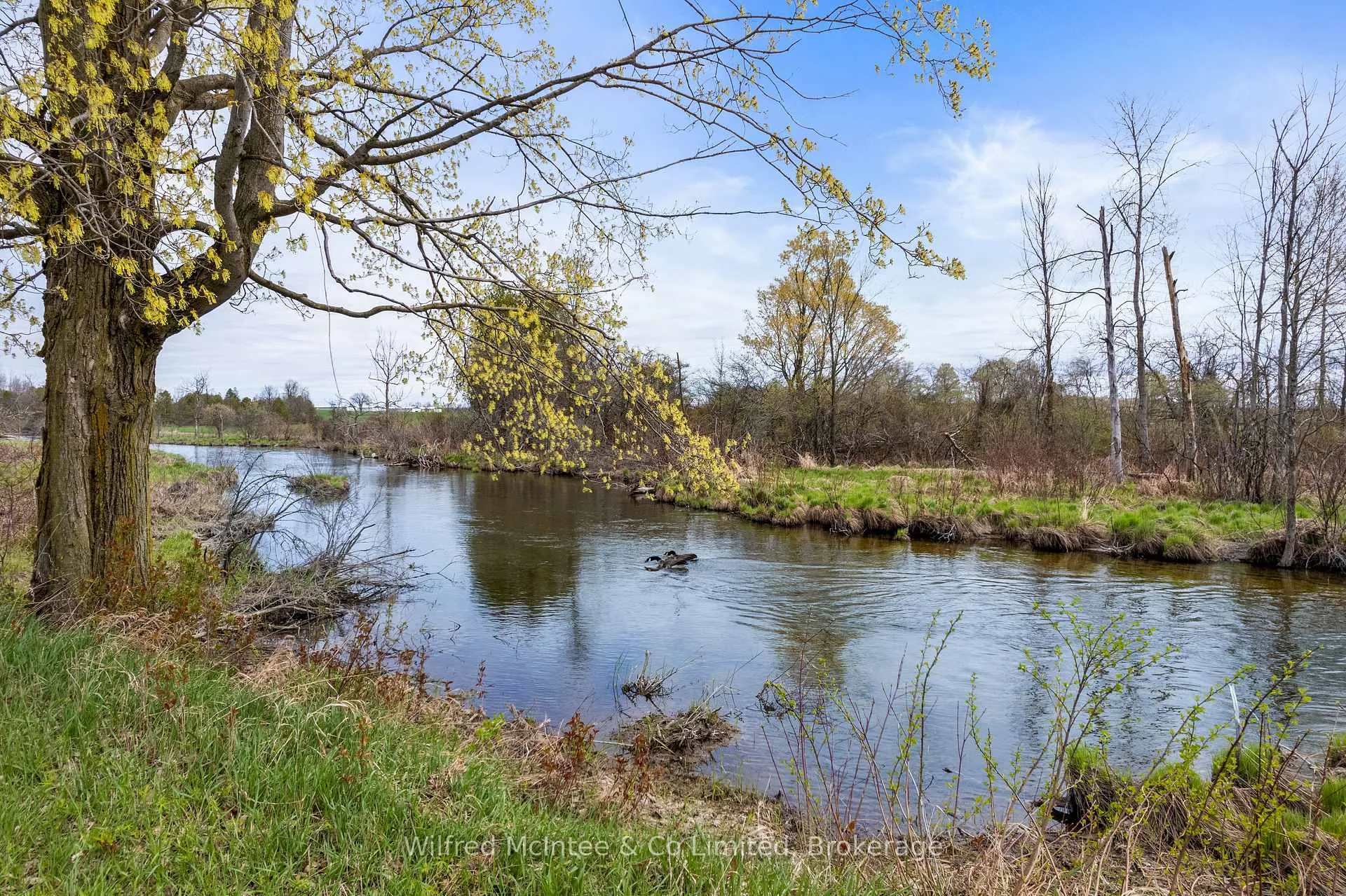 Photo 49 of 341727 Concession Rd 2 NDR, West Grey — HOMEH