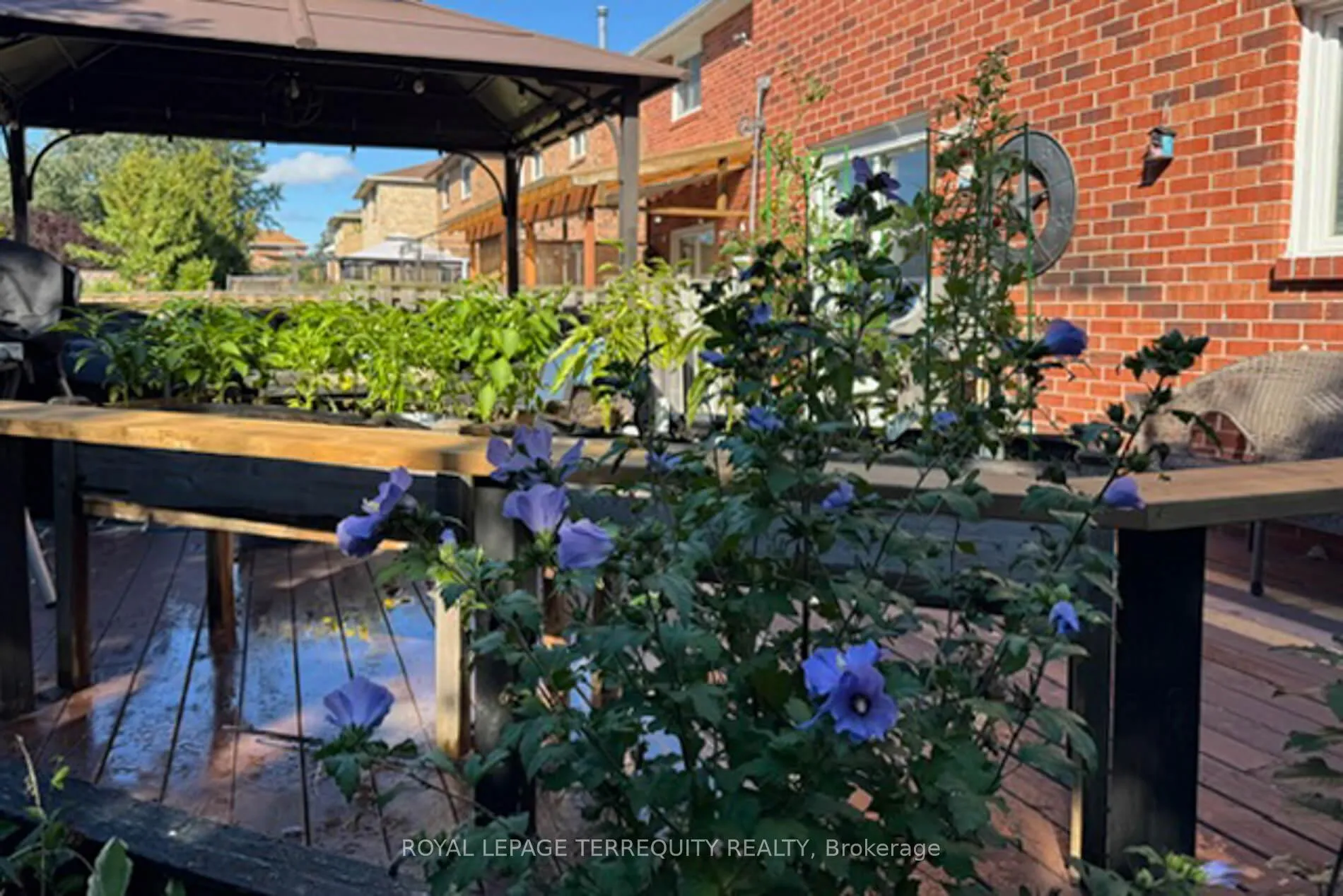 Photo 42 of 630 Sultana Square, Pickering, Amberlea — HOMEH