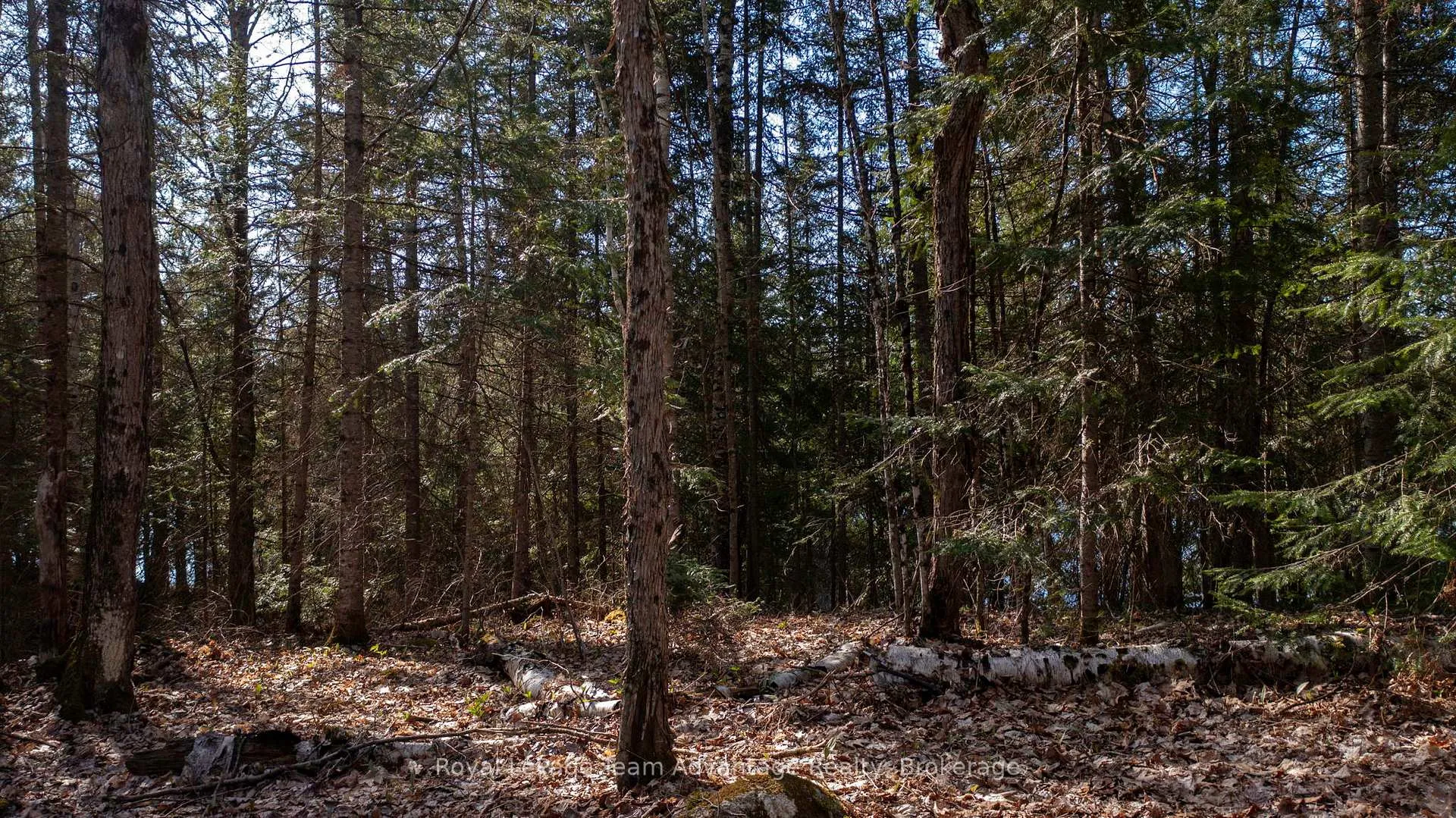 Photo 8 of Lot 1 Greenwood Way, Whitestone, Hagerman — HOMEH