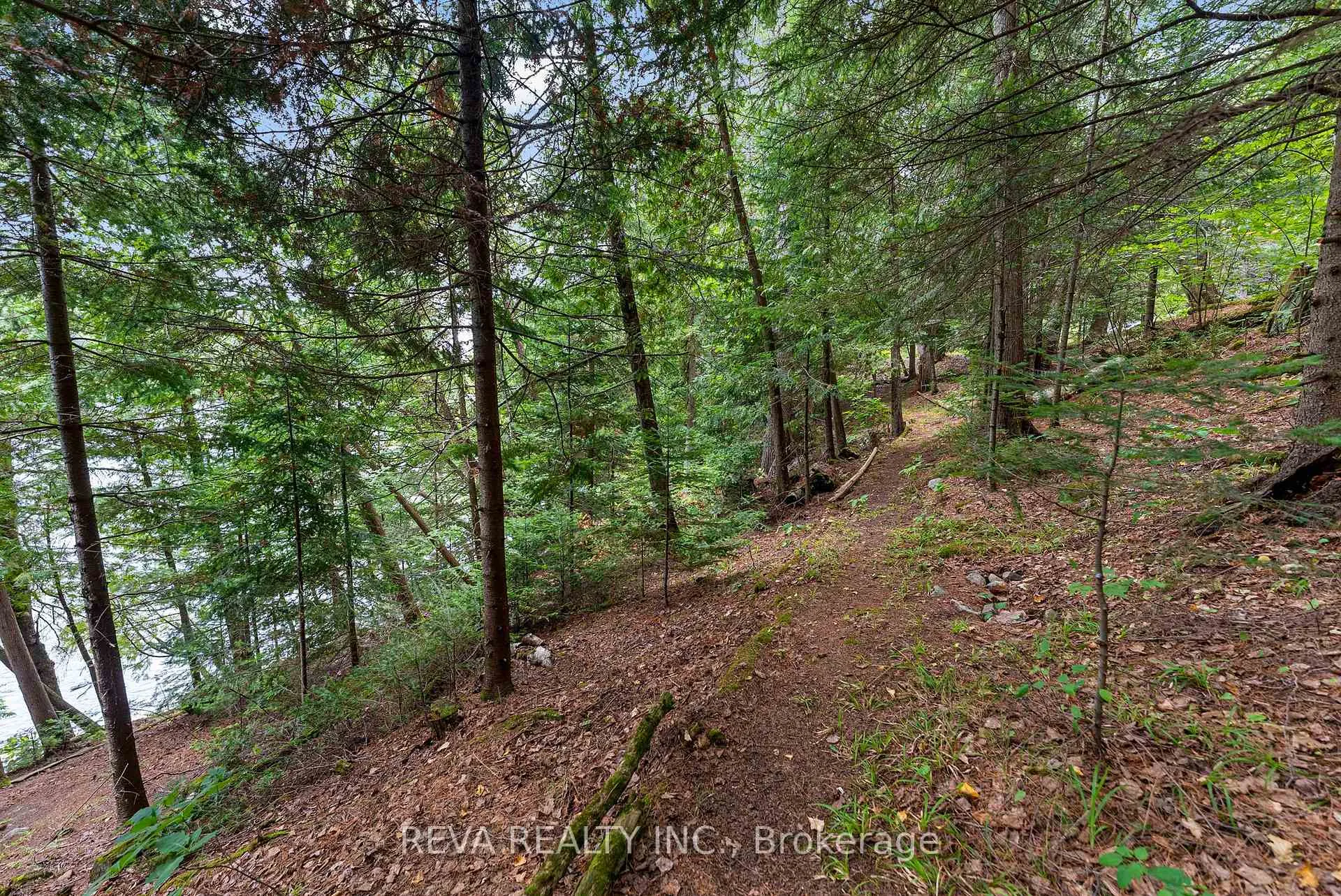 Photo 36 of 156 Ponacka Road, Hastings Highlands, Herschel Ward — HOMEH