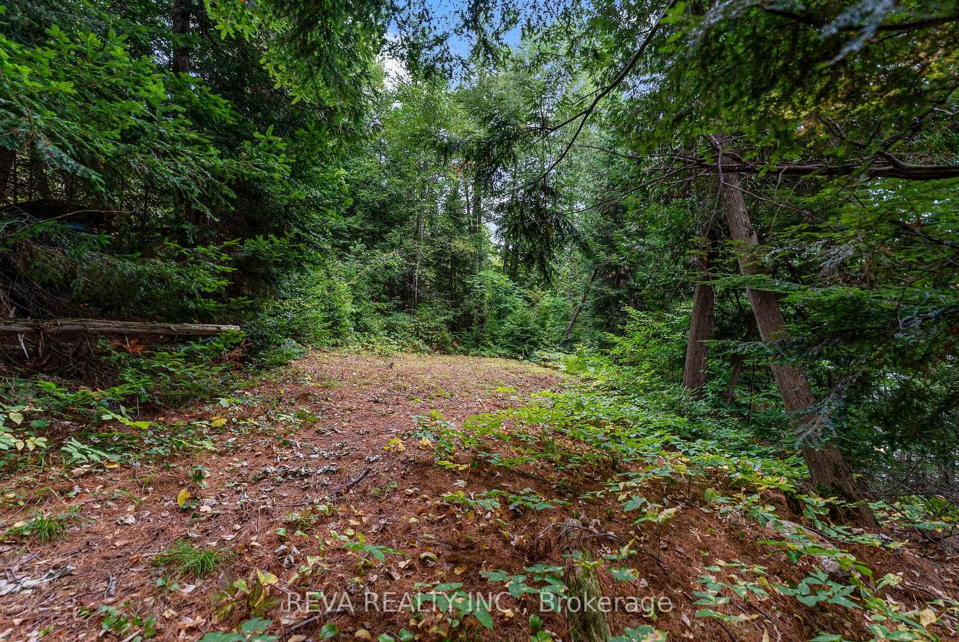 Photo 37 of 156 Ponacka Road, Hastings Highlands, Herschel Ward — HOMEH